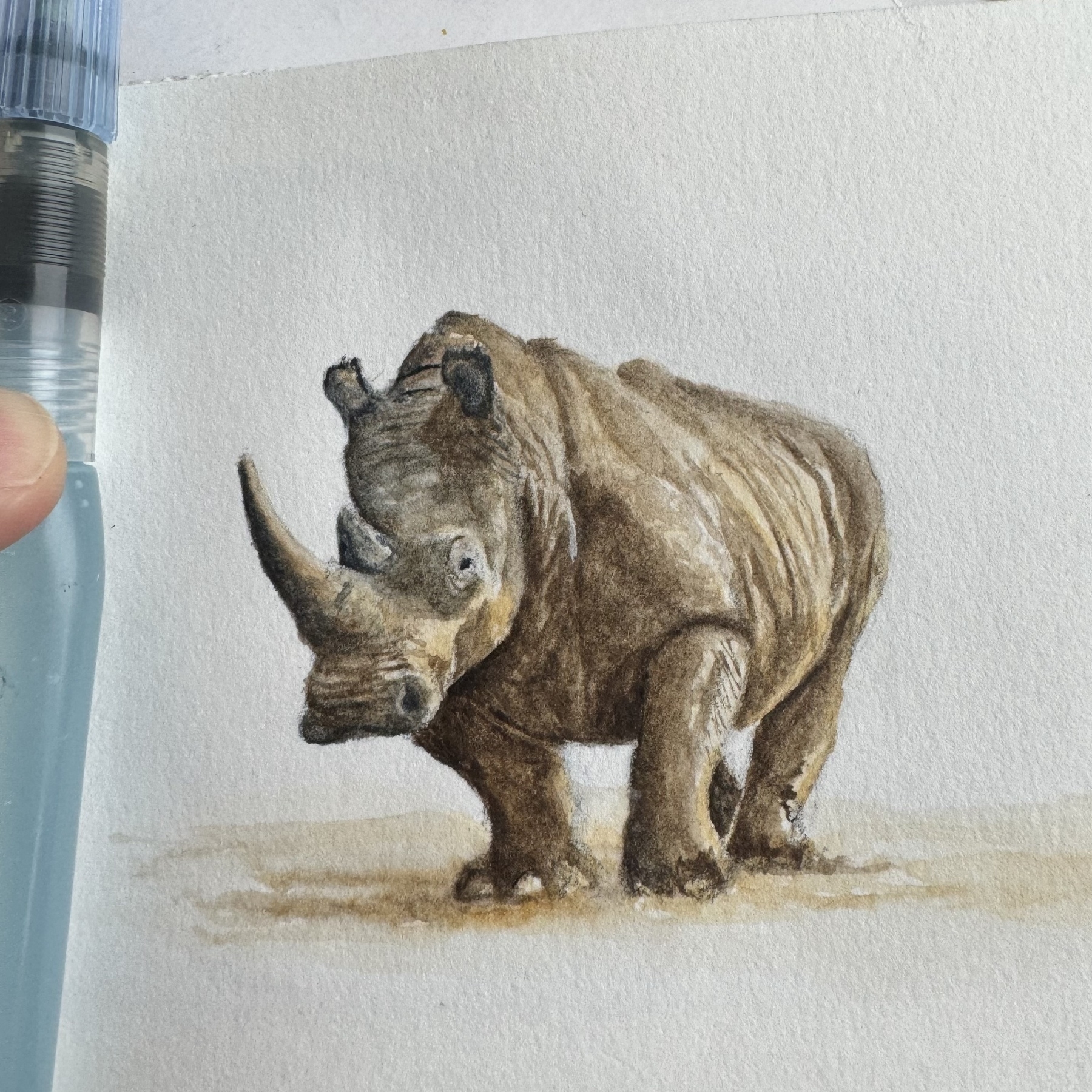 A watercolour painting of a rhino in a sketchbook. 