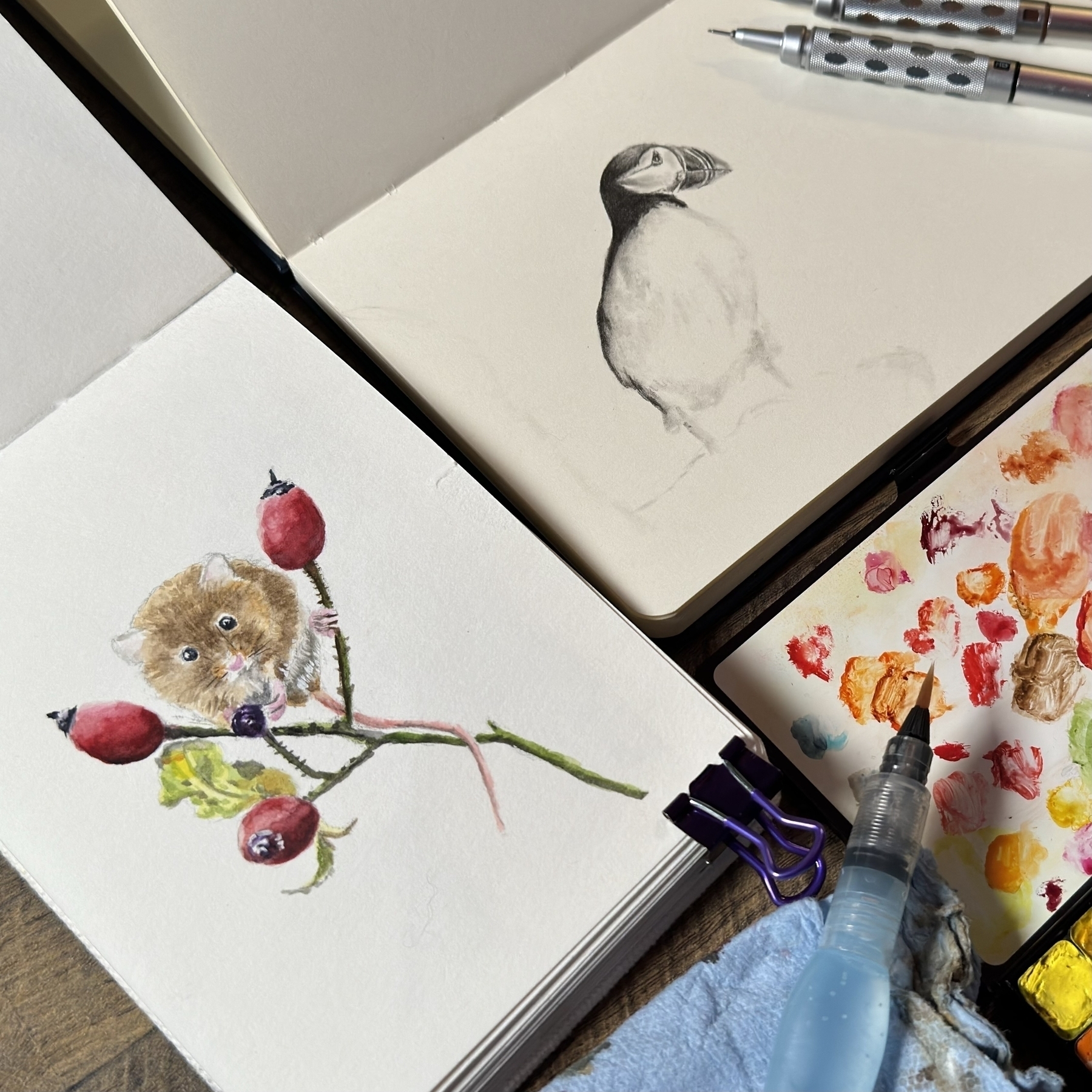 An artist’s workspace with two sketchbooks, one with a pencil sketch of a puffin and another with a watercolor painting of a mouse on rose hips; a palette of watercolors with mixed hues, a water brush, and painting brushes on a wooden surface.