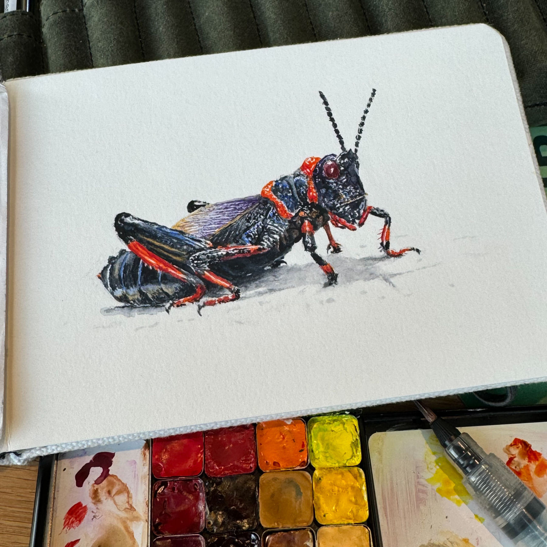 This image features an artist's workspace with a focus on a beautifully detailed painting of a grasshopper on a small white textured paper. Above the artwork, a set of fine-tip pens in a stand is visible, indicating the precision tools used for the painting. To the bottom left, an open watercolor palette is shown, filled with a variety of vibrant colors, some mixed and well-used. Beside the palette lies a water brush pen, suggesting a mix of watercolor and ink techniques in the creation of the artwork. The overall setting suggests a blend of meticulous detail and artistic spontaneity.
