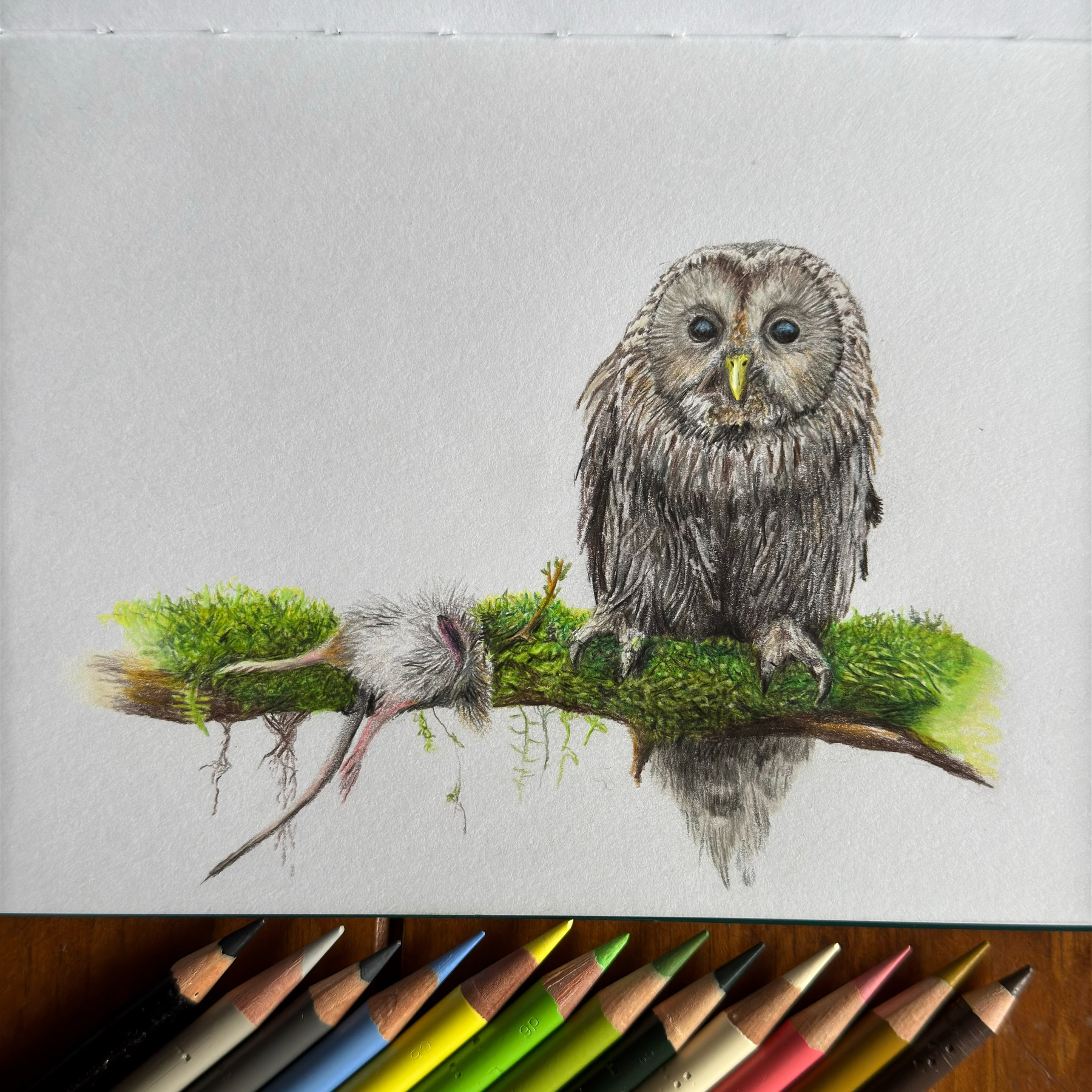 A realistic colored pencil drawing of a Ural Owl perched on a mossy branch with its prey, a small rodent, hanging beside it. The artwork is done in a Leuchtturm 1917 notebook, with colored pencils arranged below.