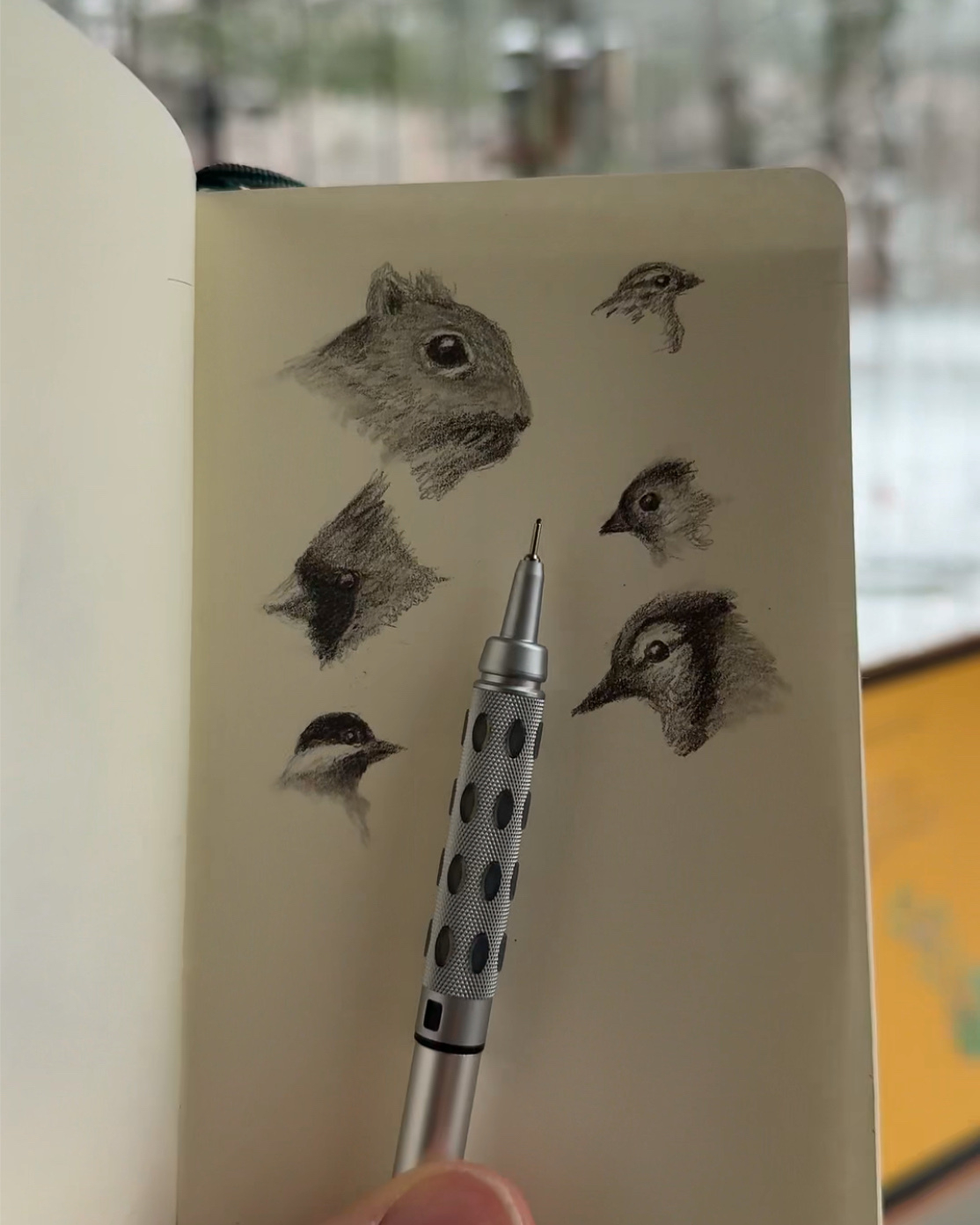 A sketchbook page features detailed pencil drawings of various animal heads, including birds and a small mammal, with a pen resting on the page.