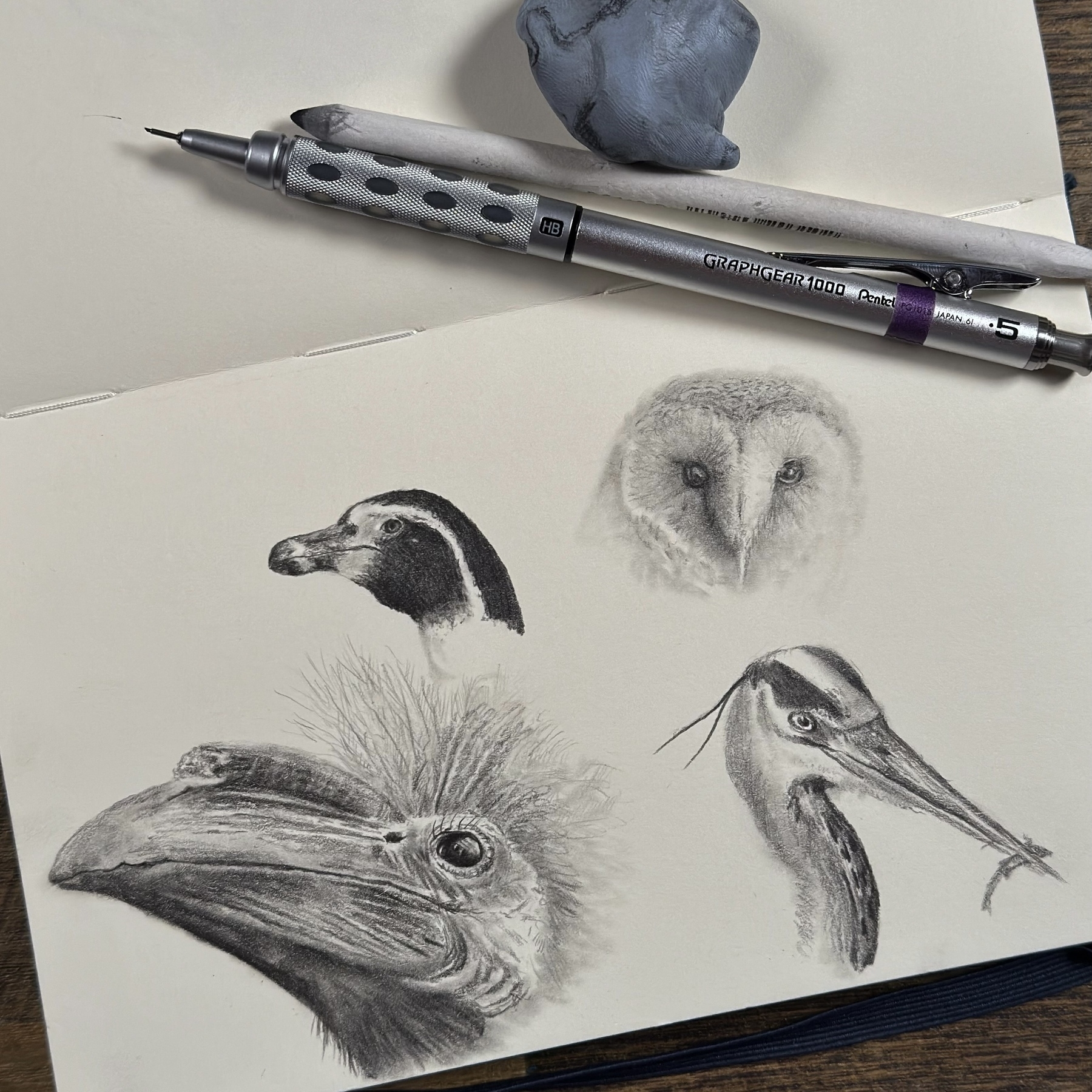 A sketchbook page featuring pencil sketches of various bird heads, including a penguin, a barn owl, a hornbill, and a blue heron. The drawings are accompanied by a Pentel Graphgear 1000 mechanical pencil, a blending stump, and a piece of BluTack used for erasing. The sketches show a range of textures and details, highlighting the artist's technique and tools.