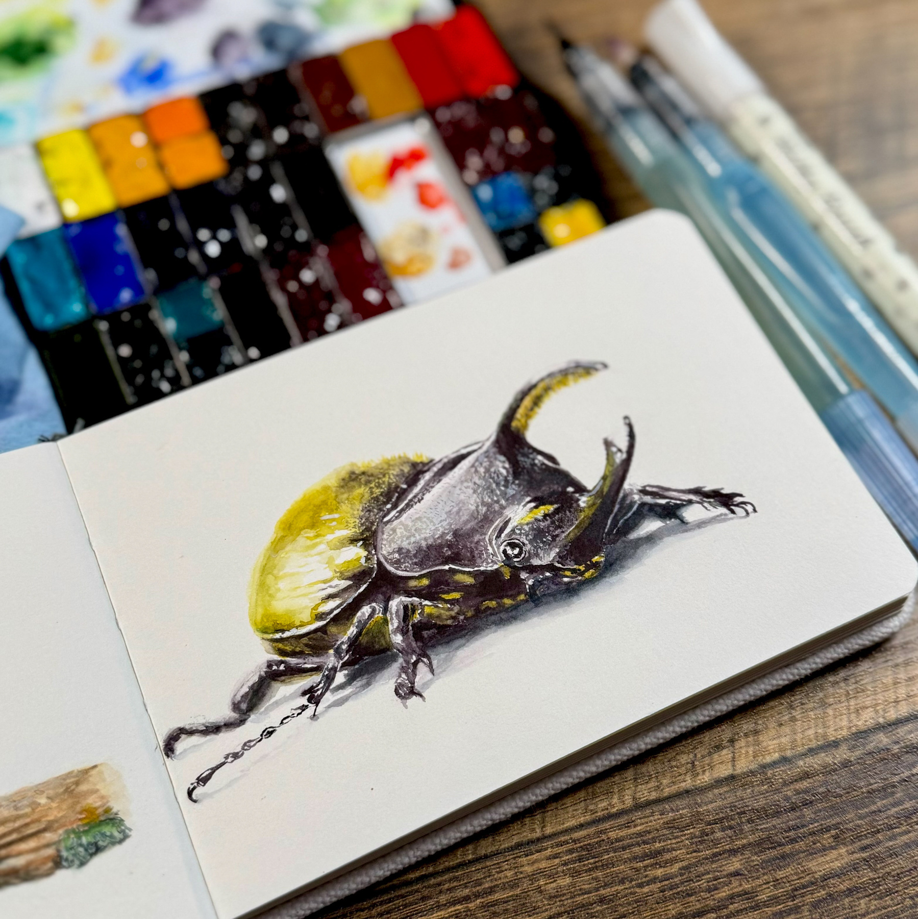 A watercolor painting of a rhinoceros beetle with a yellow and black shell on an open sketchbook, surrounded by a set of colorful QoR watercolors, paintbrushes, and a milky brush pen.