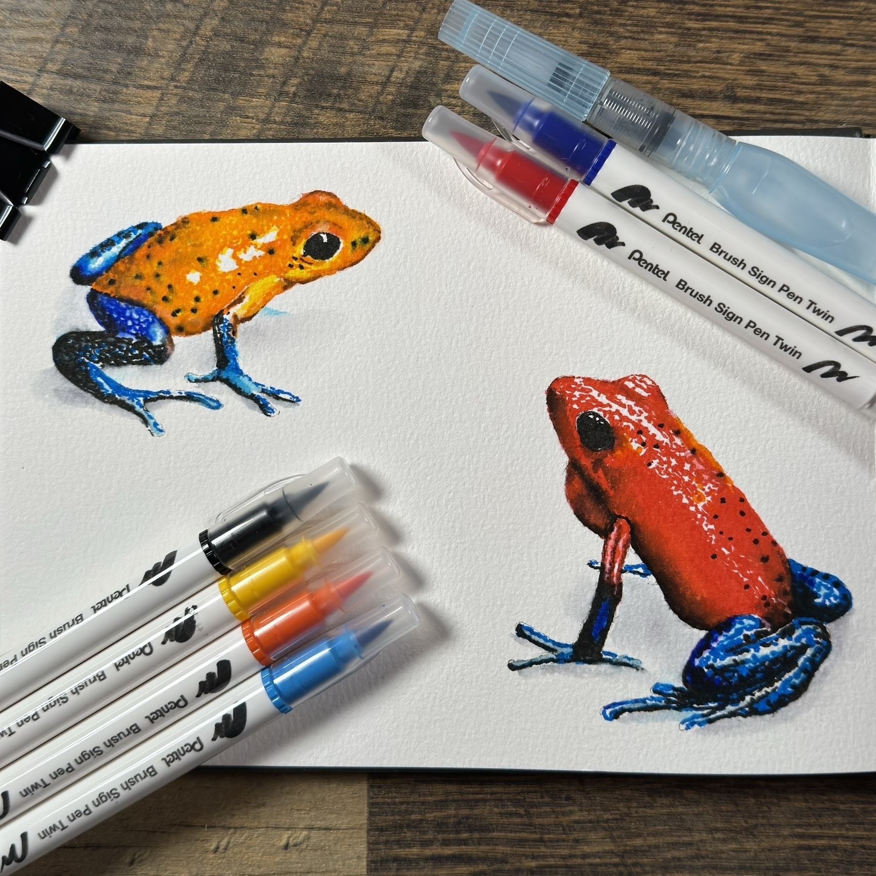 An image of two vibrantly colored frog illustrations on a textured paper. The top frog is painted in bright orange with blue legs and black spots, while the bottom frog is in vivid red with blue details and black spots. Both are surrounded by a selection of Brush Sign Pen Twin markers in coordinating colors, and a medium-sized Pentel Aquash Water Brush lies next to them. The artwork and tools rest on a dark wooden surface, indicating a creative, artistic setting.