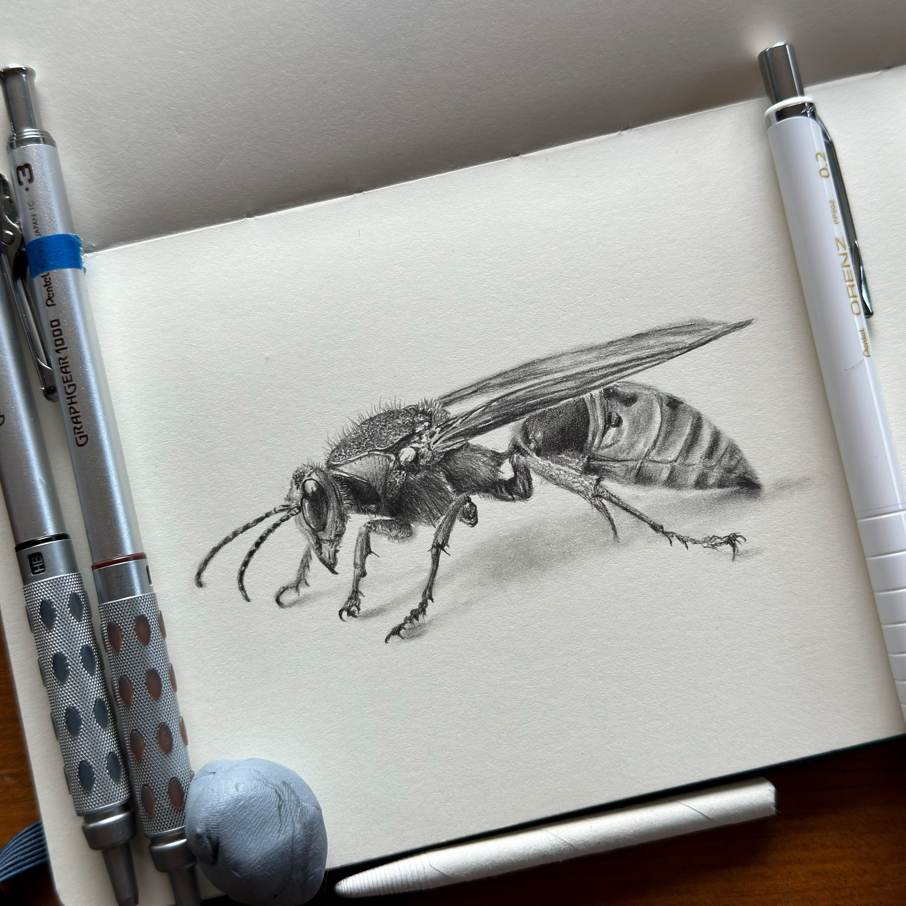 A detailed pencil sketch of a giant hornet is drawn on a white paper, surrounded by mechanical pencils and an eraser.