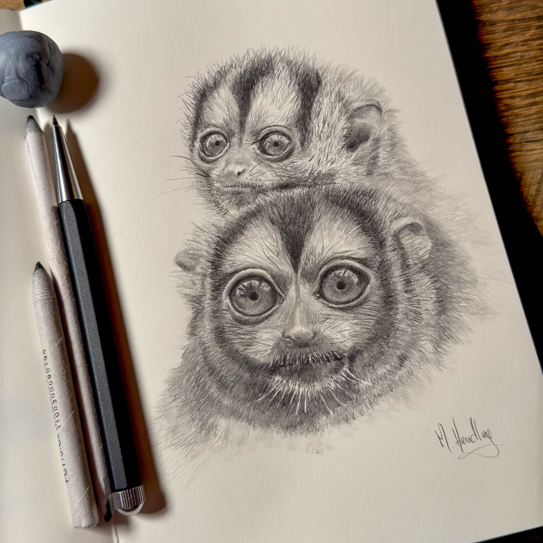 A detailed graphite sketch of two owl monkeys with large, expressive eyes and soft, fur details drawn on cream-colored sketchbook paper.