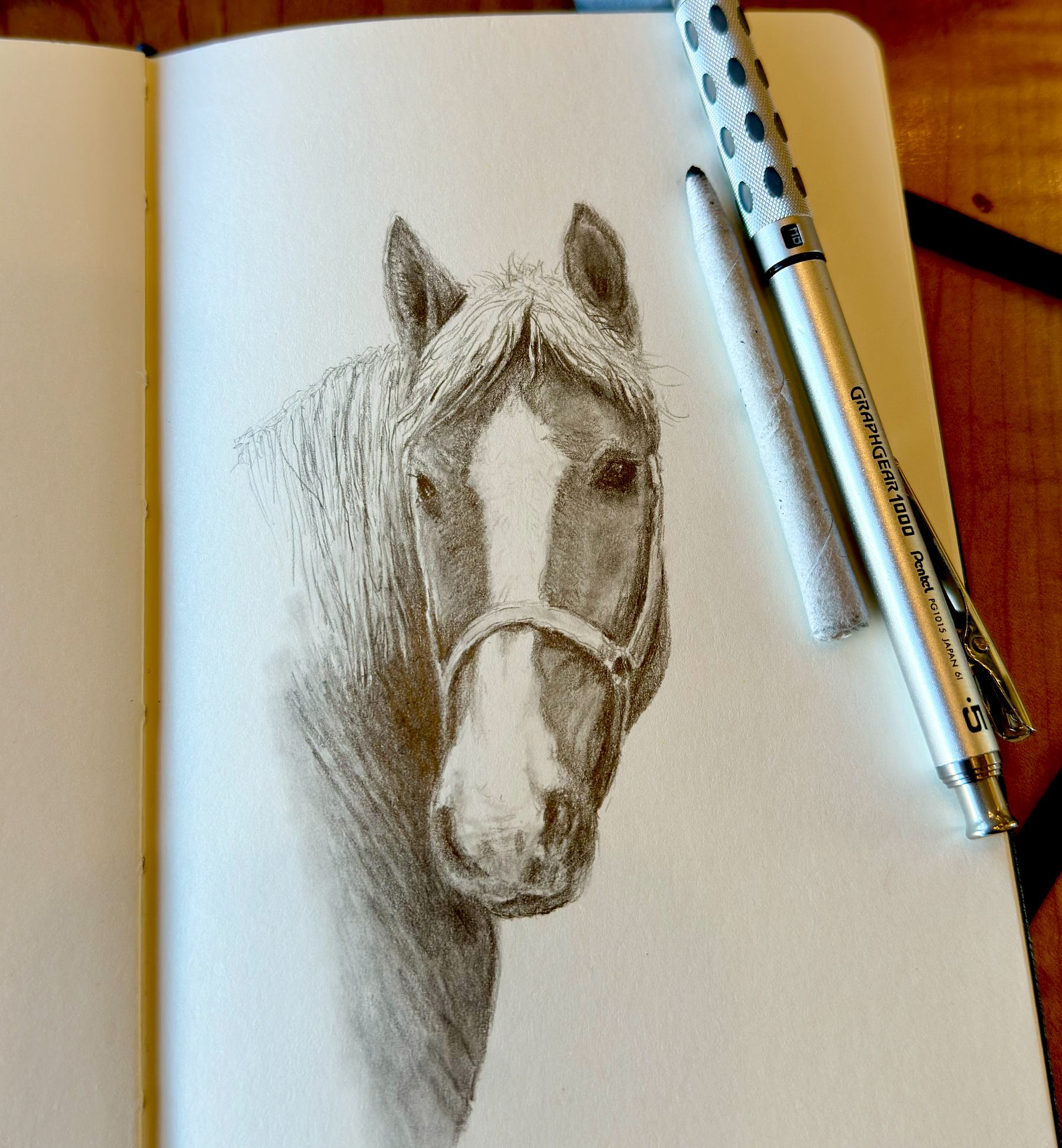 Pencil drawing of a horse’s head on a sketchbook page, with great attention to detail and shading. The horse is wearing a halter and appears calm and gentle. Art supplies, including a mechanical pencil and a kneaded eraser, rest beside the sketchbook.