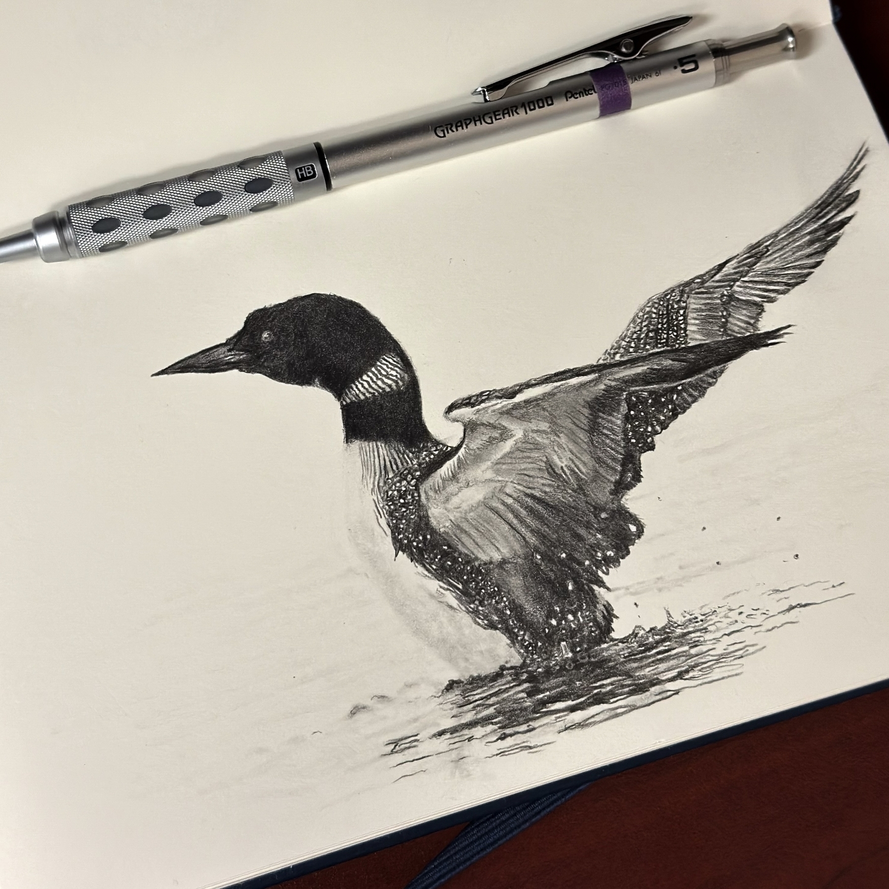 A detailed graphite drawing of a loon with wings outstretched, created using a .5 mm Graphgear 1000 pencil. The drawing is displayed in an open sketchbook with the pencil placed beside it.