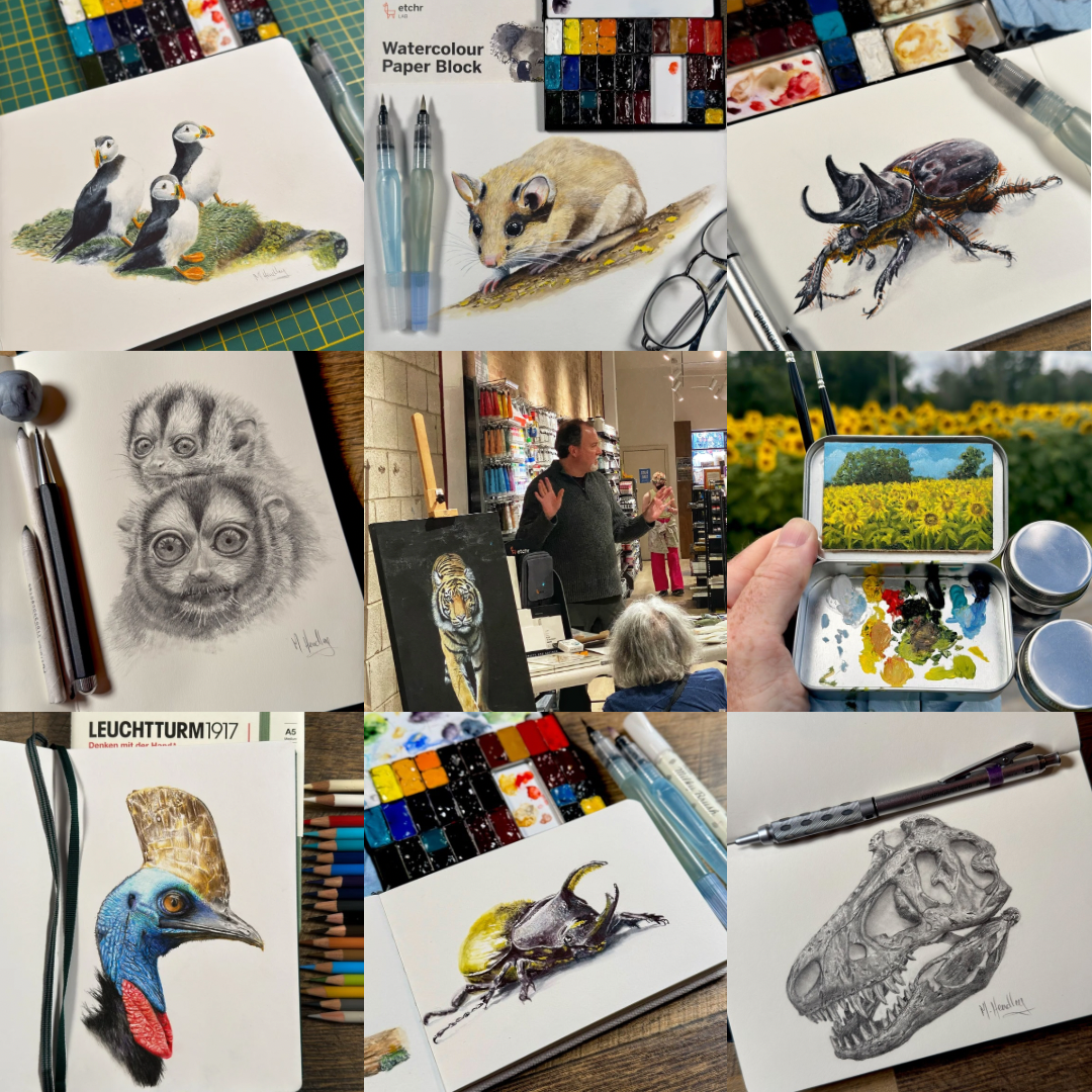 A collage of artistic sketches and paintings featuring animals, nature scenes, art supplies, and a person speaking at an event is displayed.