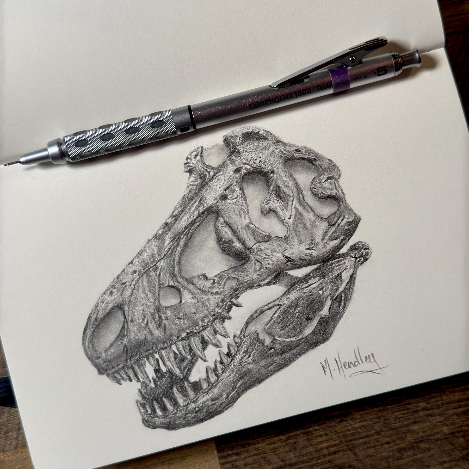 Graphite drawing of a Tyrannosaurus skull on white paper, showing intricate details of the bone structure.&10;