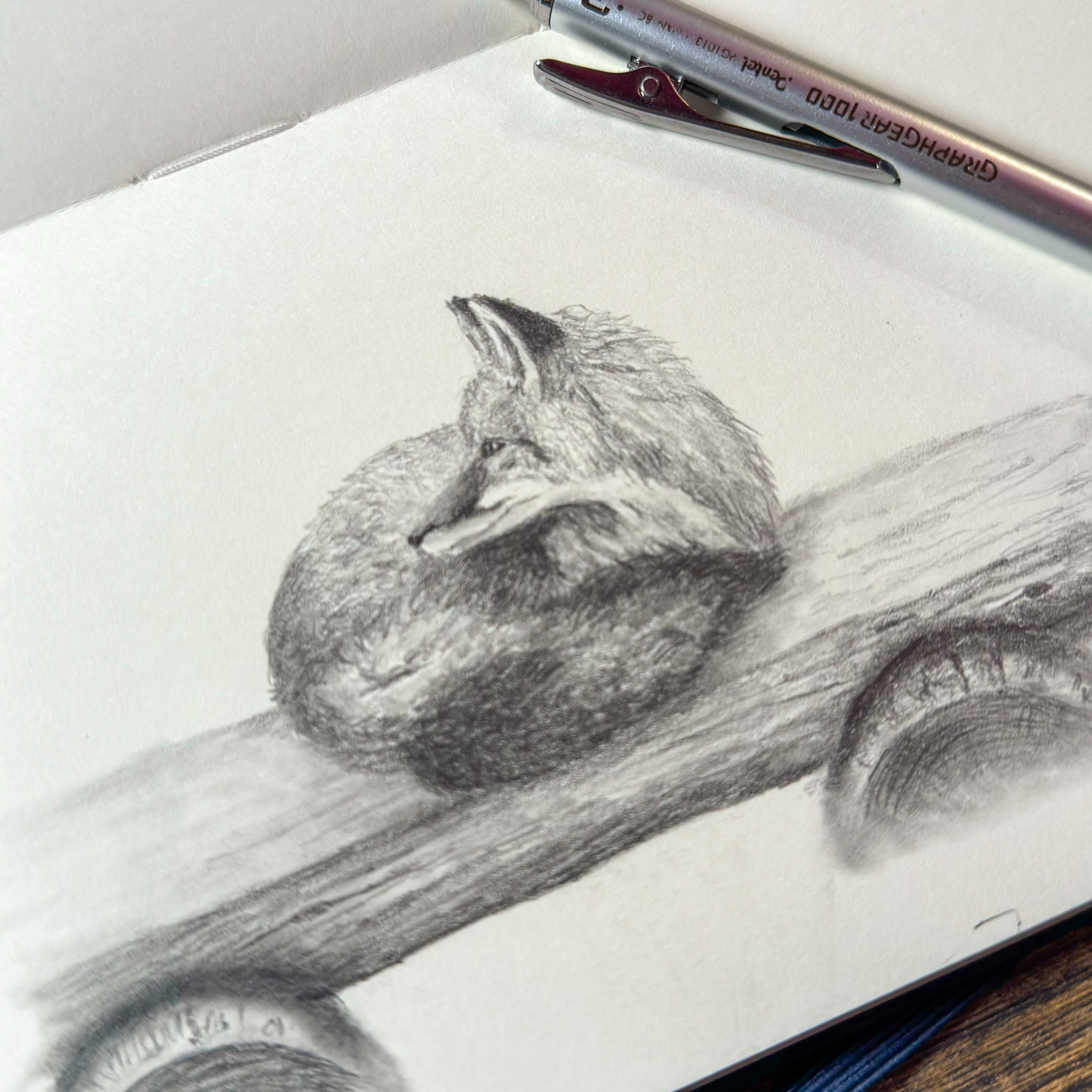 The image shows a sketch of a fox curled up and resting. The artwork is done in pencil, showcasing detailed fur texture and shading to create a realistic appearance. The sketch is on a white paper surface, and there are a couple of drawing pens laid to the side, indicating an artist’s workspace.