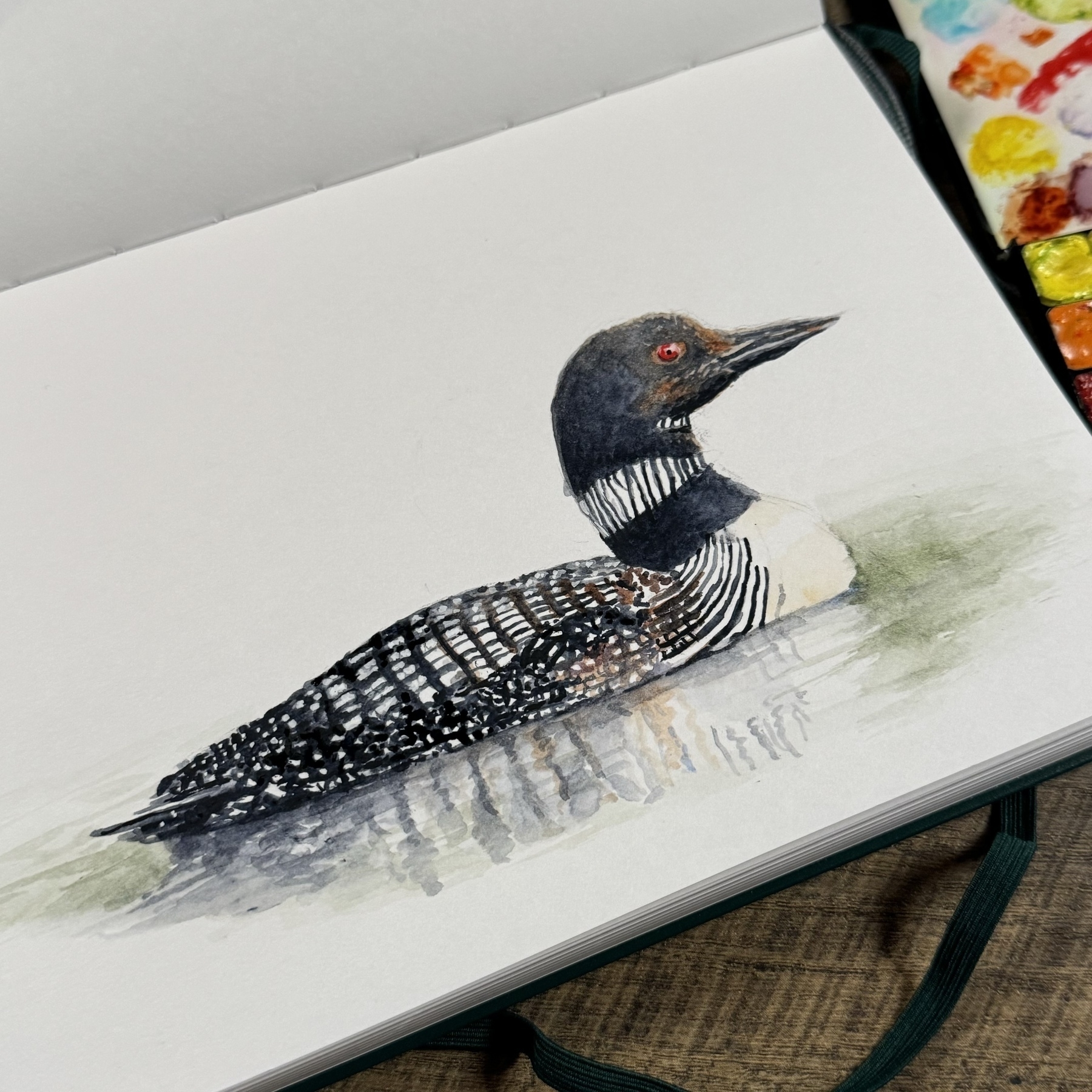 Watercolor painting of a common loon in a Leuchtturm 1917 sketchbook, showing the bird with its distinctive black head, white-striped neck, and checkered back, partially submerged in water with reflections visible.
