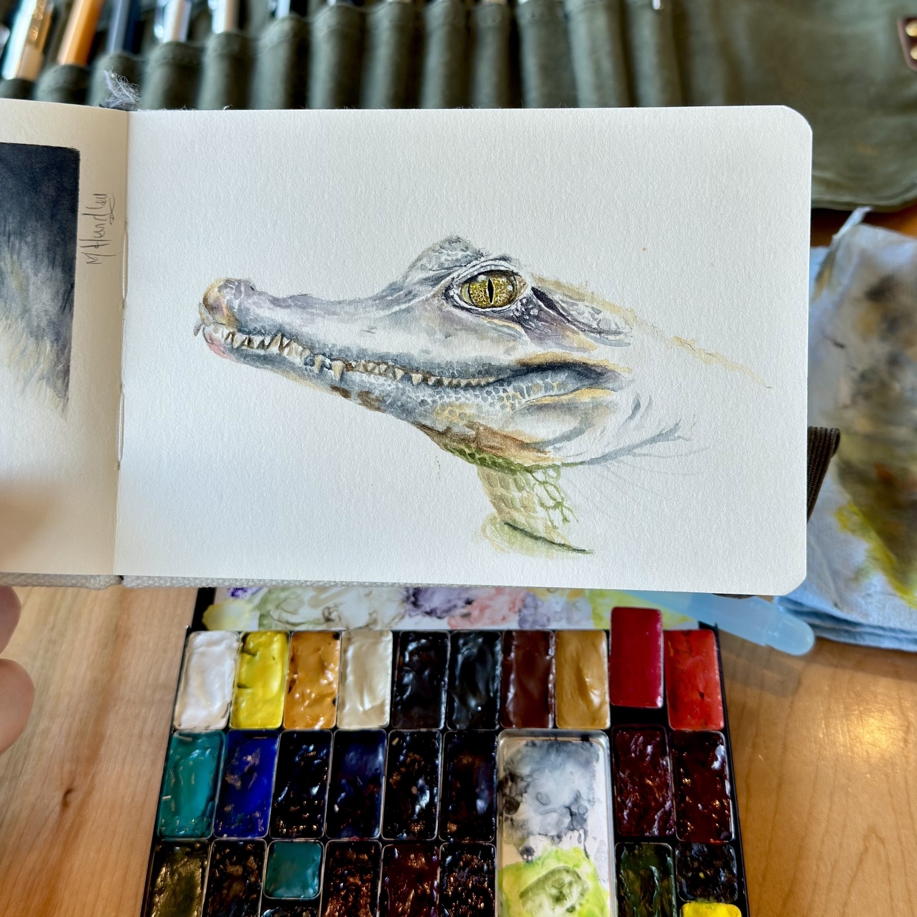 Watercolor sketch of a caiman’s head in profile, showing textured scales, sharp teeth, and a striking yellow eye, painted on a sketchbook page with a watercolor palette visible below.