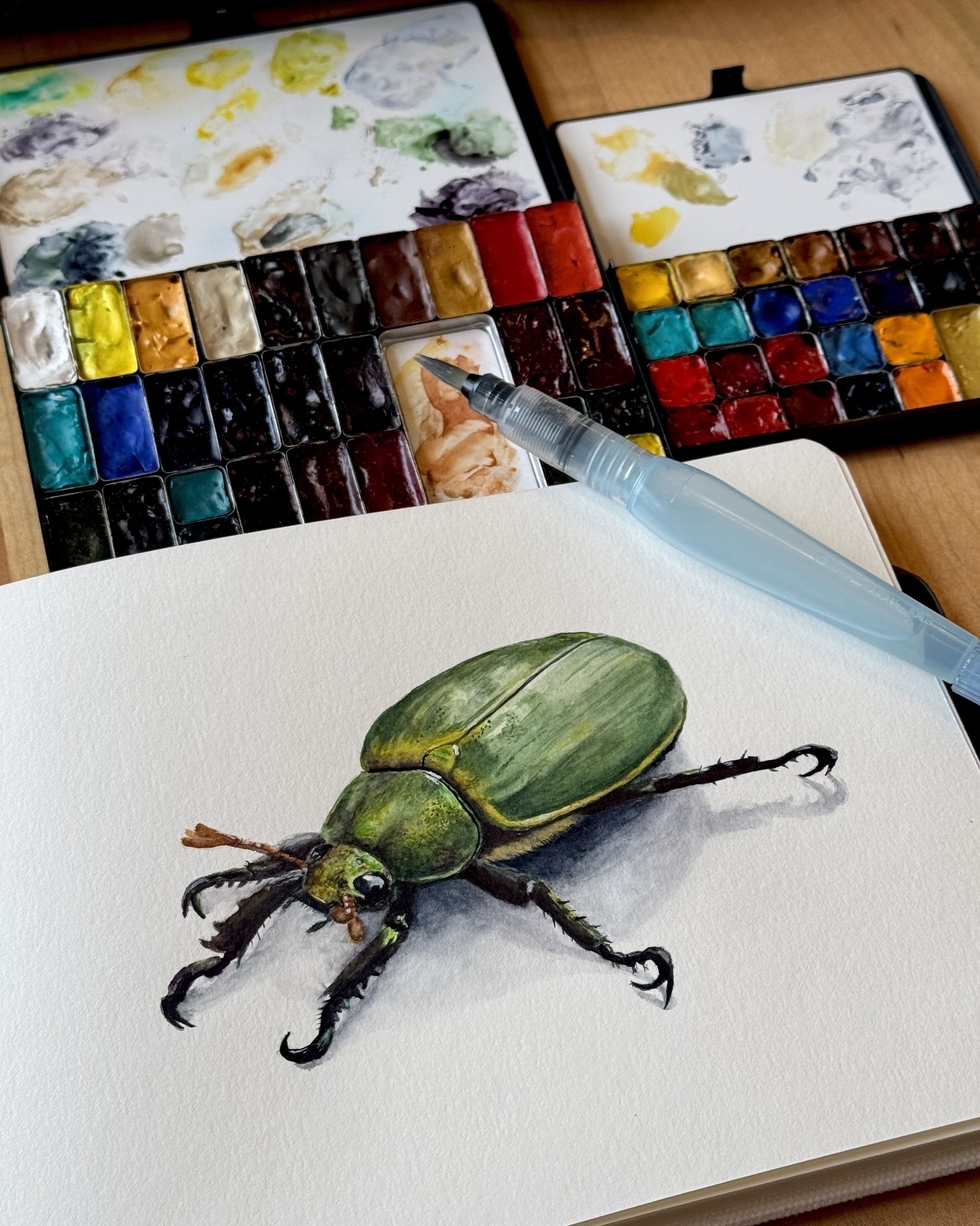 A detailed watercolor painting of a Chrysina lecontei beetle in an A5 sketchbook. The beetle has a metallic green sheen with intricate shading and highlights. Surrounding the artwork are an Art Toolkit palette with golden QoR paints and a water brush