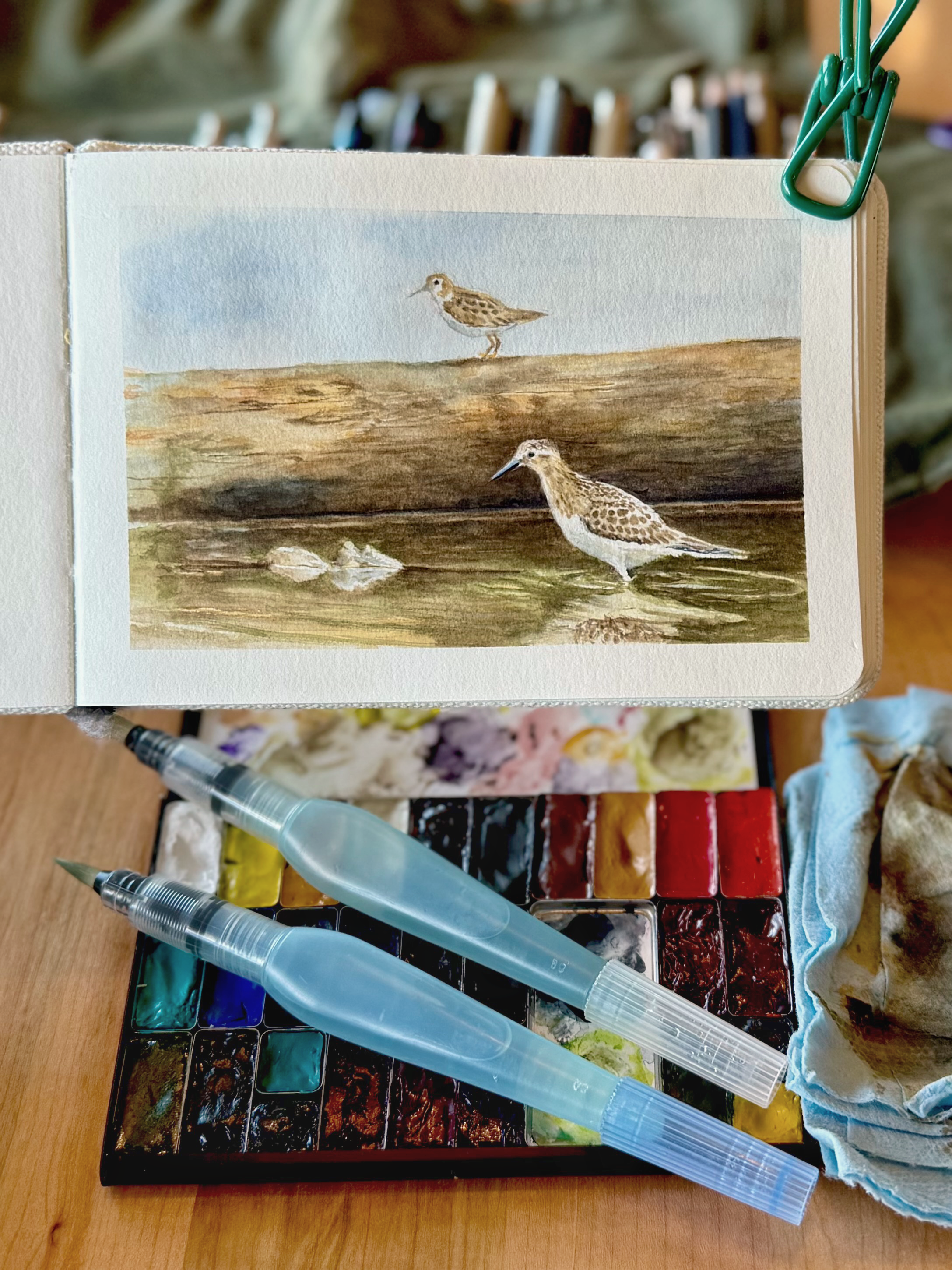 Watercolor of two sandpipers on driftwood near water, in a sketchbook surrounded by paint palette, water brushes, and cloth.