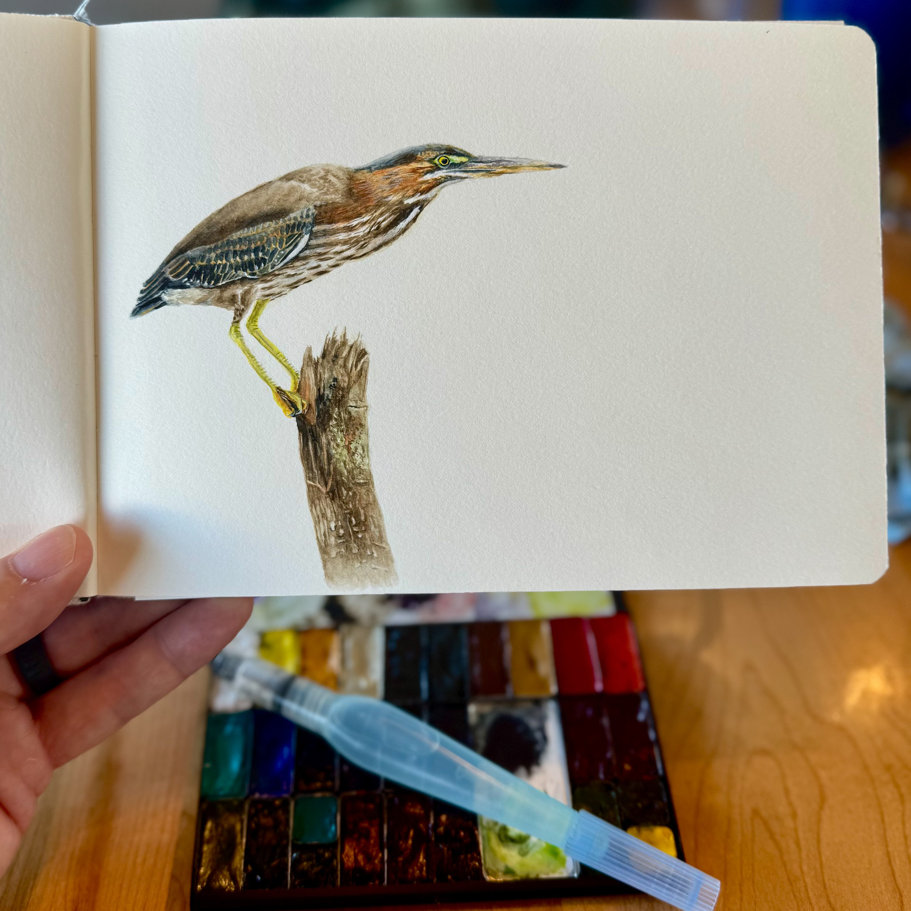Watercolor painting of a green heron perched on a weathered stump, done in a sketchbook with a palette and brush visible beneath the page.