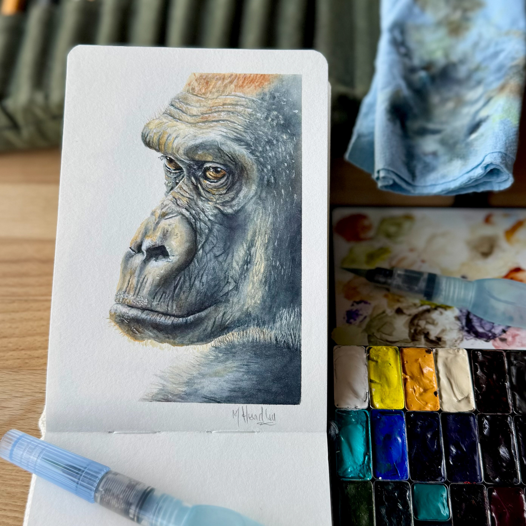 A realistic watercolor painting of a western lowland gorilla's face in profile, showing deep wrinkles, soulful amber eyes, and textured fur in muted grays and browns.