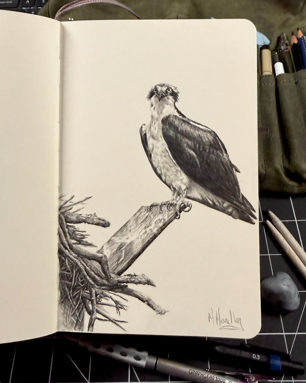 Realistic pencil drawing of an osprey perched on a wooden post beside its nest, rendered with high detail in a sketchbook using graphite pencils and fine lines.