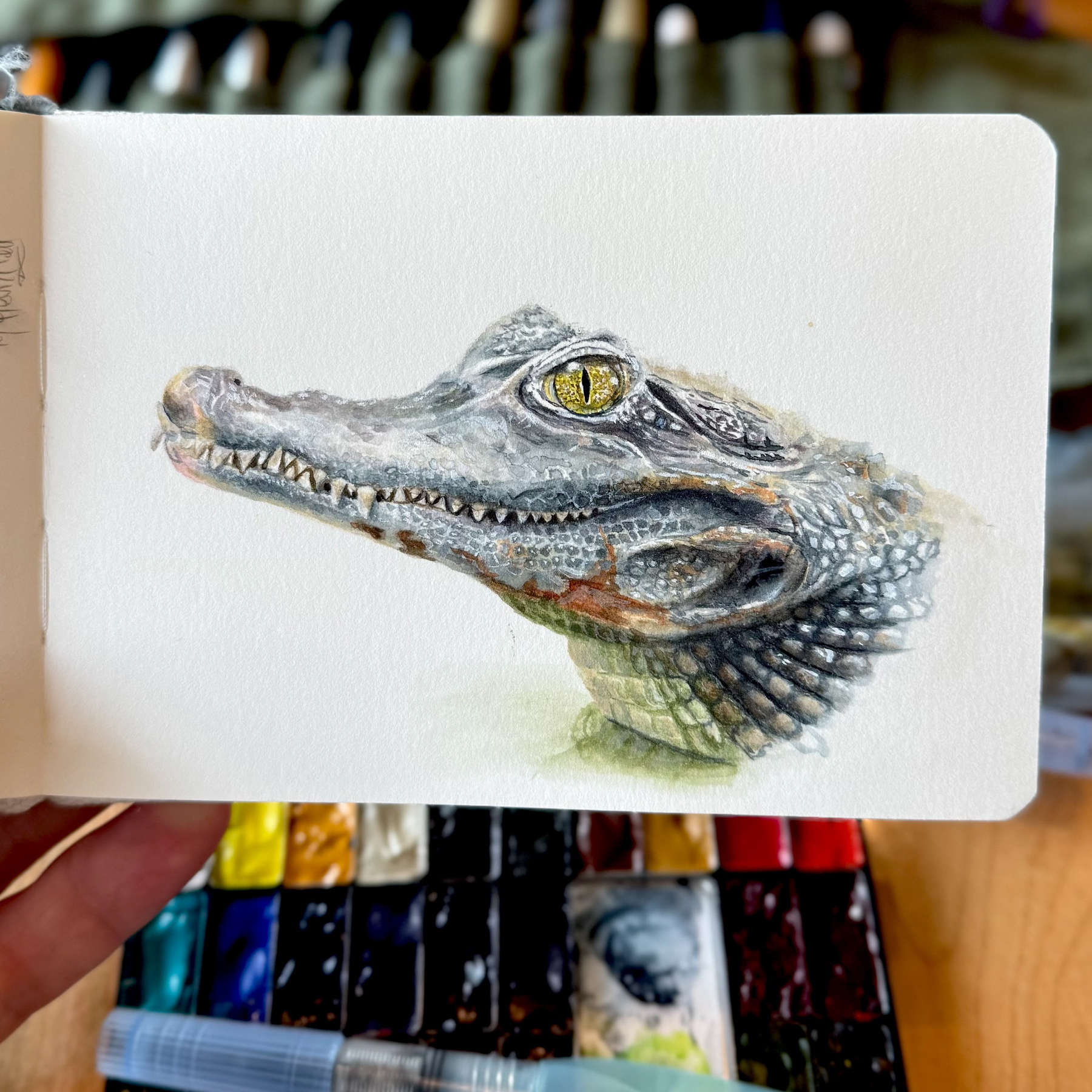 Watercolor painting of a spectacled caiman's head in profile, with detailed scales in grays and muted greens, and a striking yellow eye. Painted in an Etchr A6 sketchbook using Golden QoR watercolors and Pentel waterbrushes, with paints visible in the background.