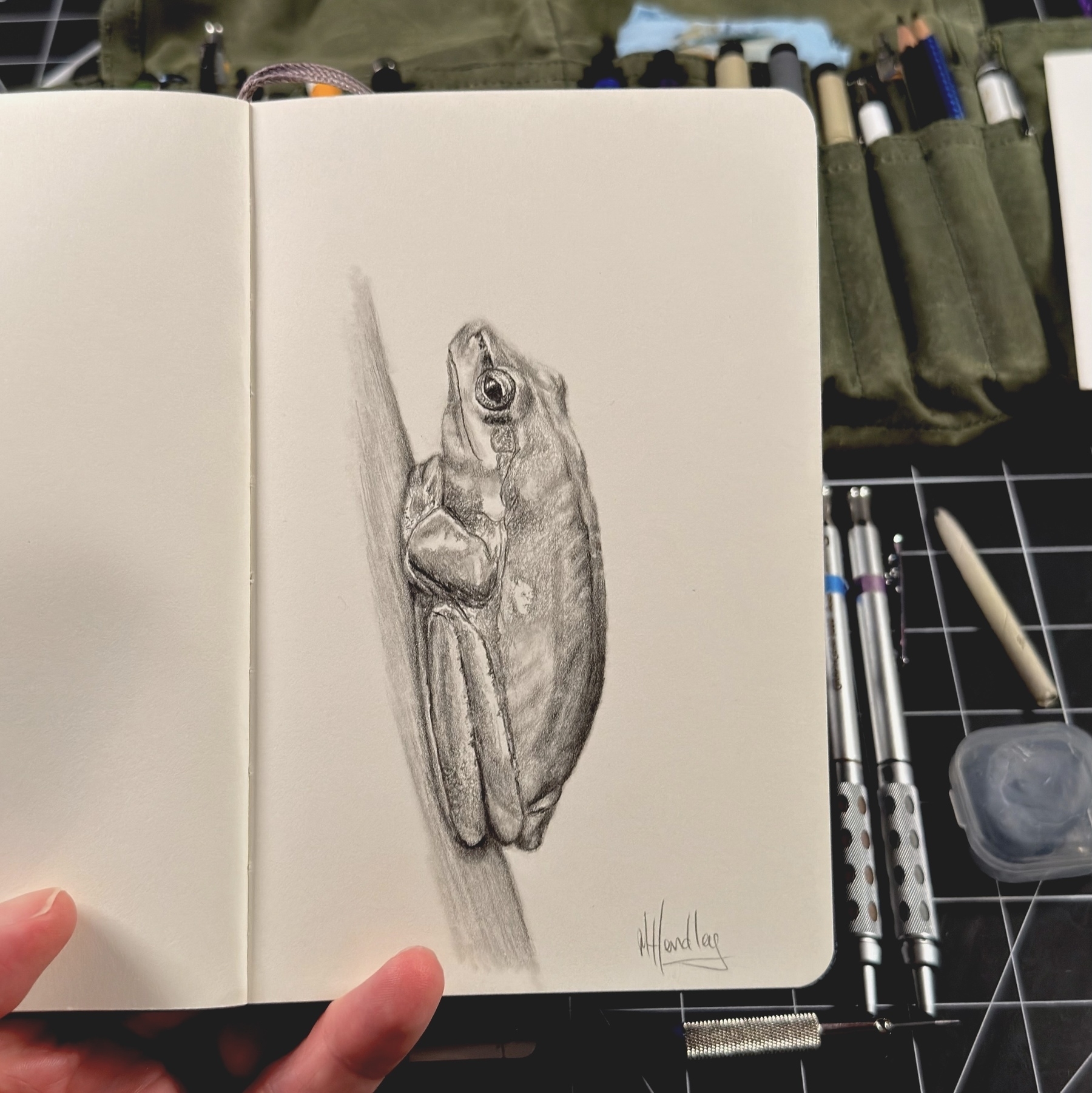 A detailed pencil sketch of a frog is featured in an open sketchbook, surrounded by art supplies.