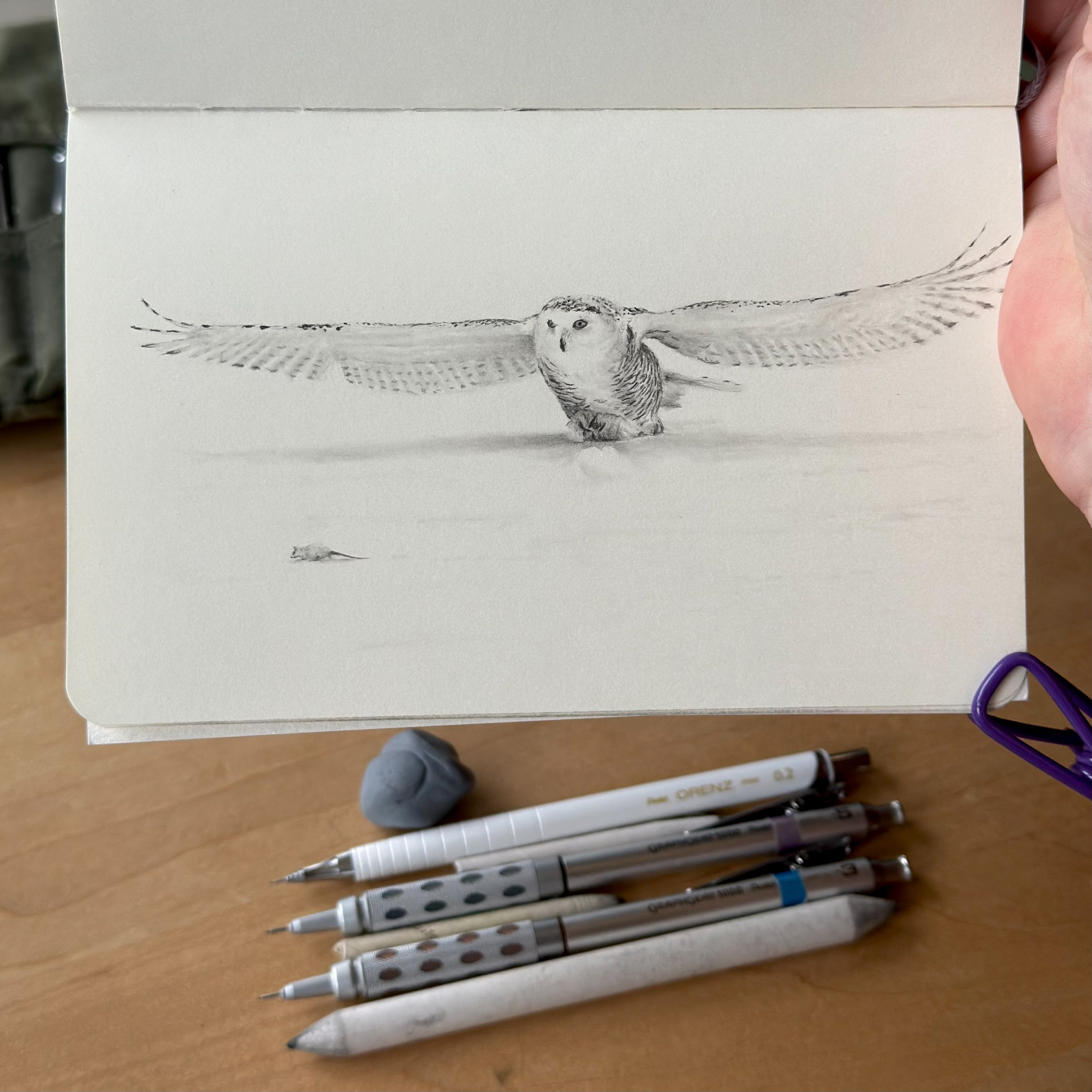 A pencil sketch of a snowy owl in flight, wings outstretched low over the ground, heading toward a small mouse. Soft shading captures the delicate feathers and motion.