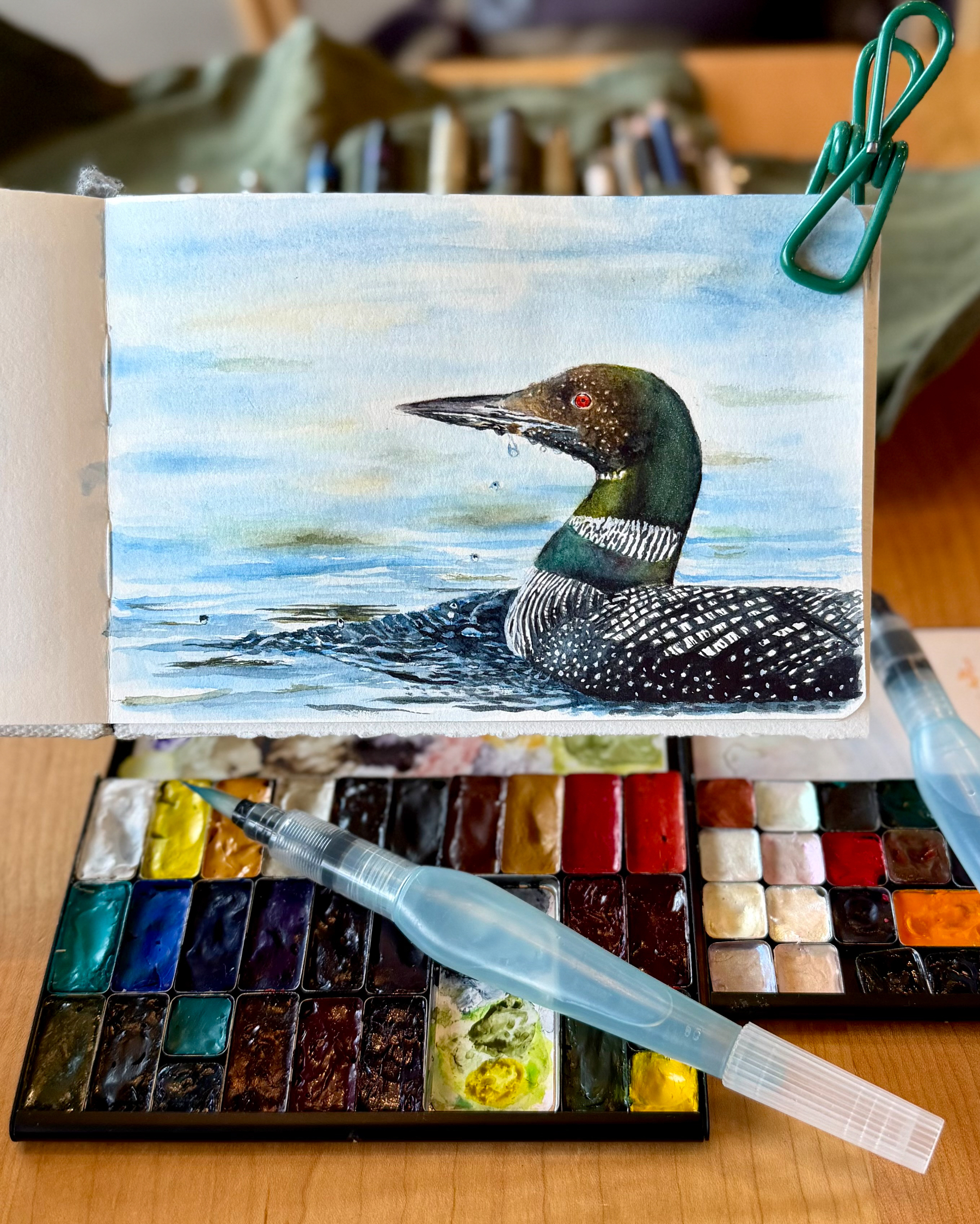 Watercolor sketch of a common loon in water, featuring iridescent green and purple hues on the head, with a water droplet falling from its beak. The sketch is propped above a colorful palette and water brushes.