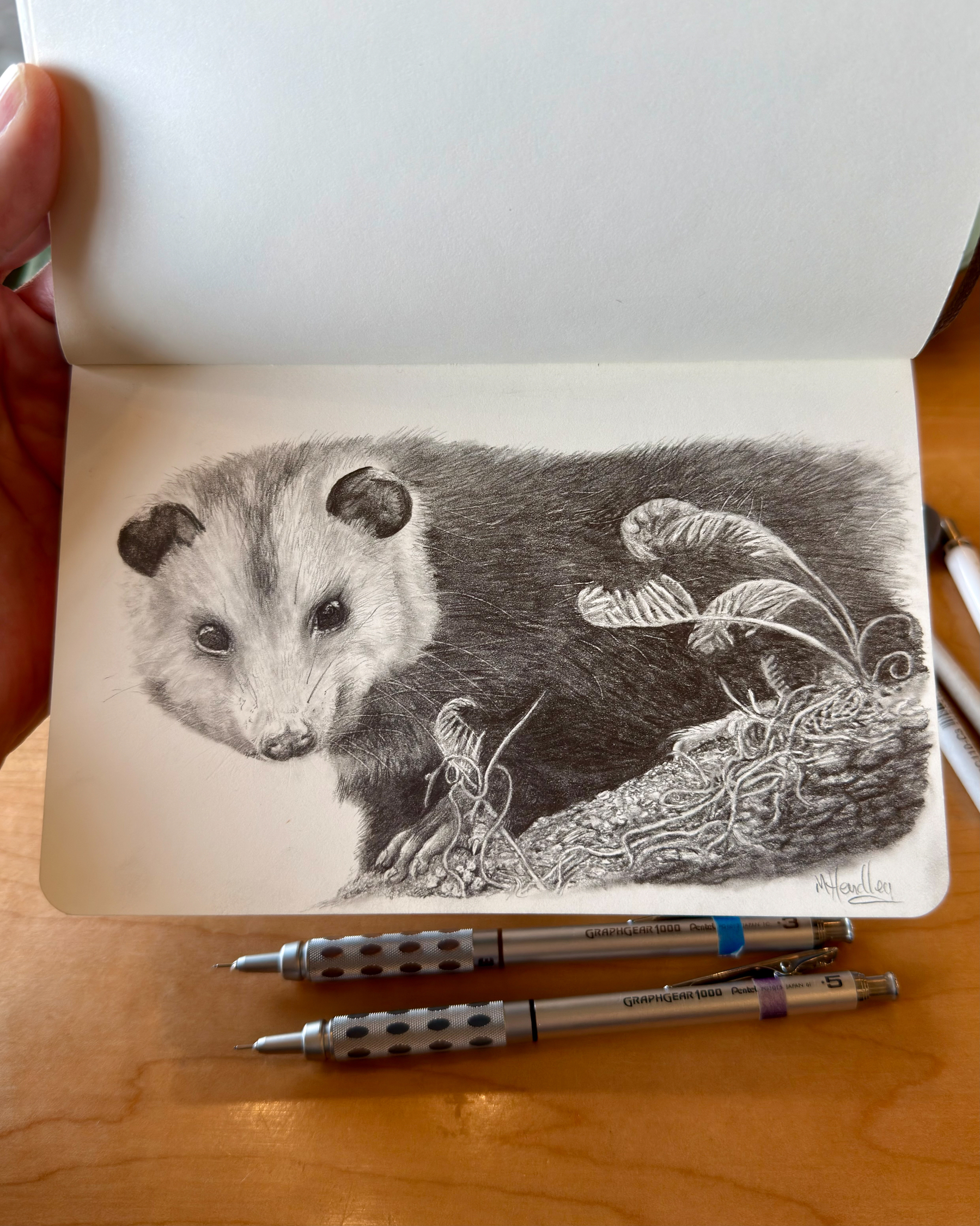 Realistic graphite sketch of an opossum in a sketchbook, featuring detailed fur texture and vines drawn in negative space, with two mechanical pencils below.