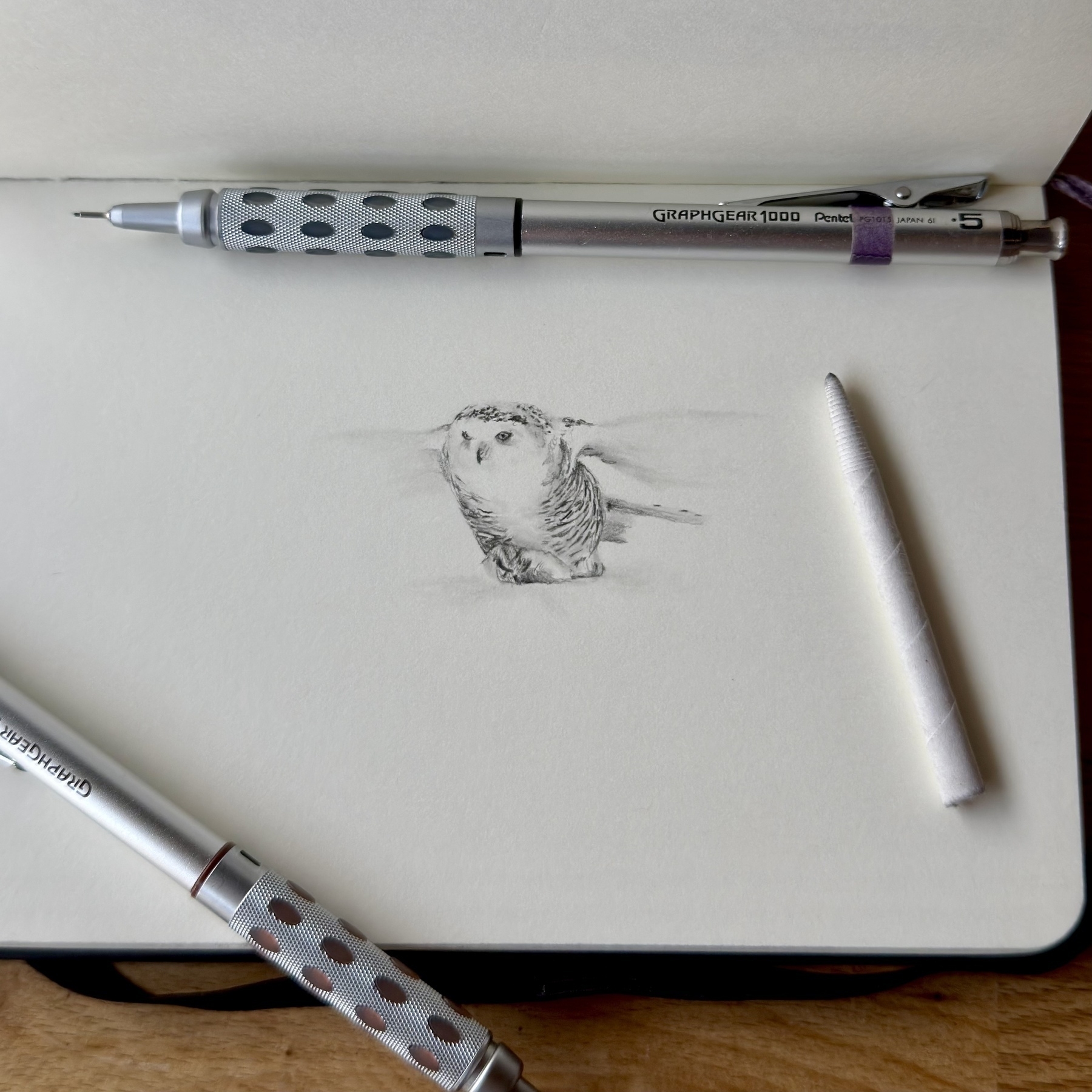 An open sketchbook features the start of a detailed pencil drawing of an owl with a mechanical pencil and an eraser placed nearby.