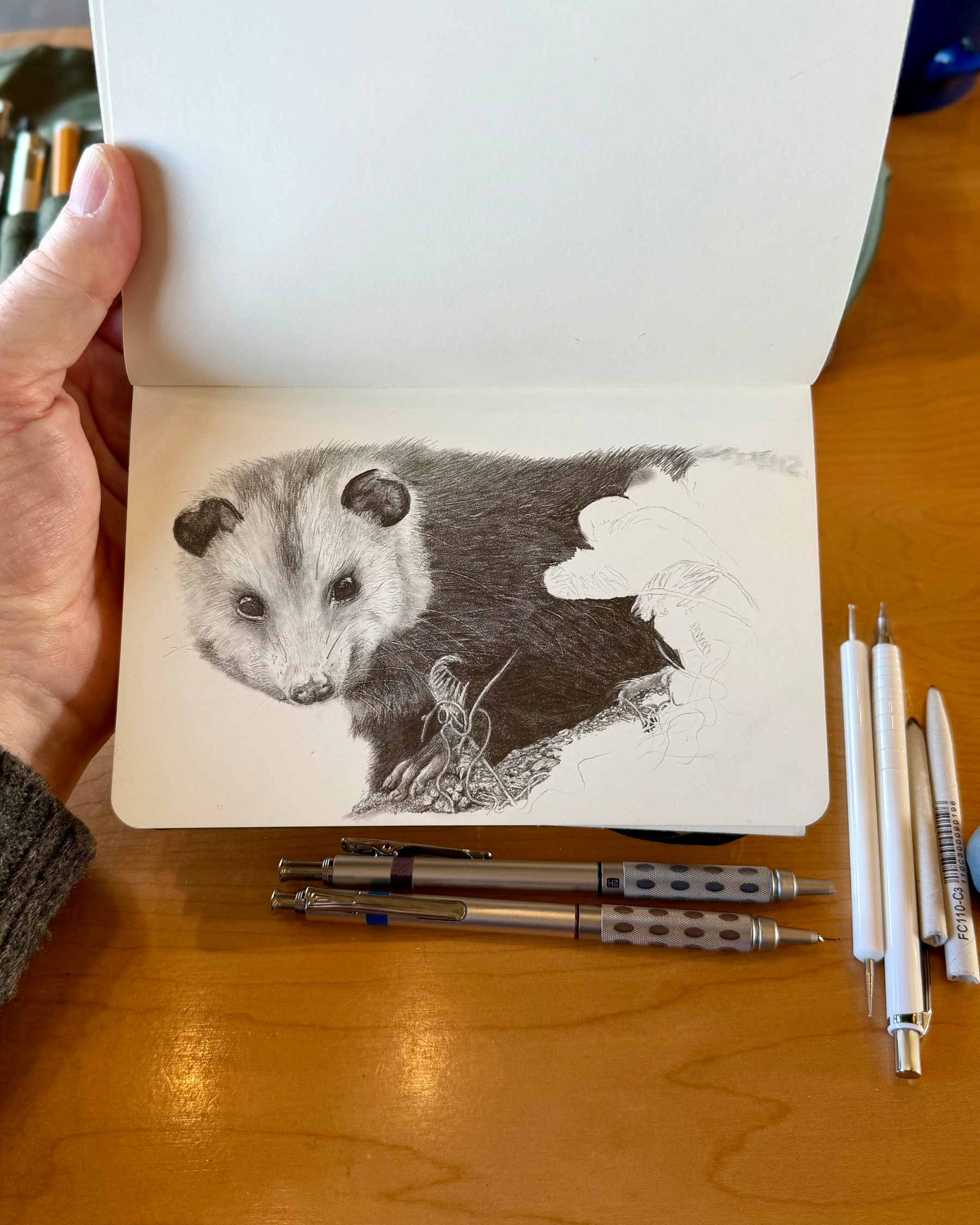 A detailed sketch of an opossum is being drawn in a sketchbook, surrounded by various pens on a wooden table.