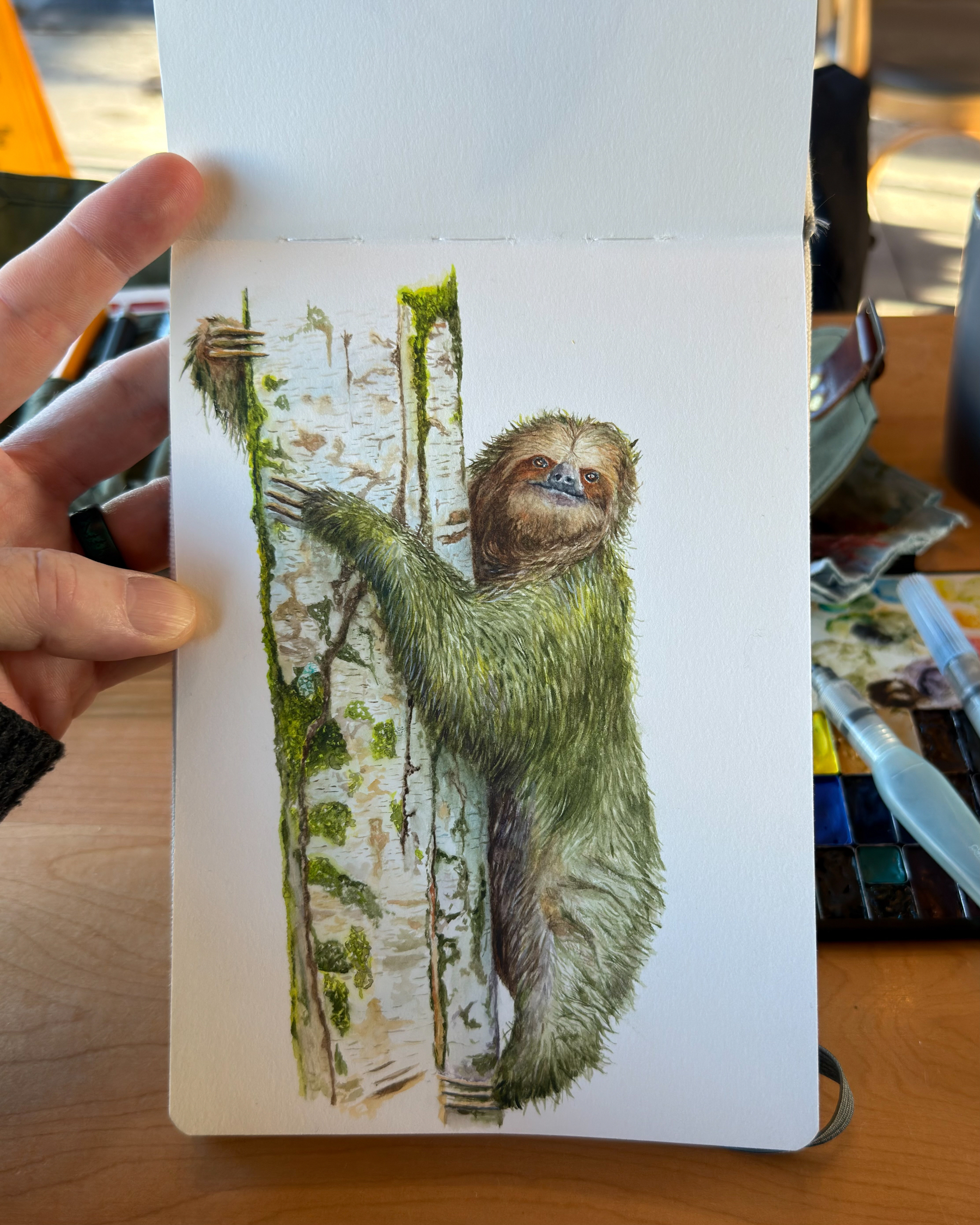 Watercolor painting of a sloth clinging to a birch tree, with detailed green-tinted fur and mossy bark textures.