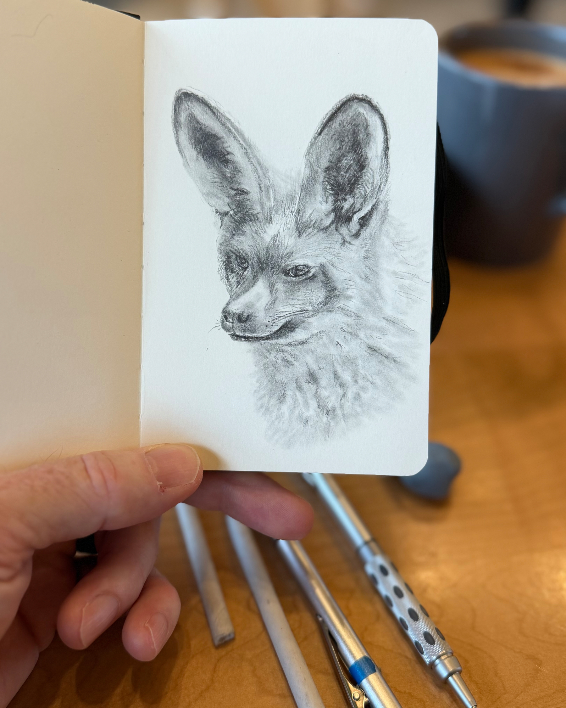 Realistic pencil sketch of a bat-eared fox, drawn in a small sketchbook using graphite. The fox's large ears are detailed with soft shading and fur texture.