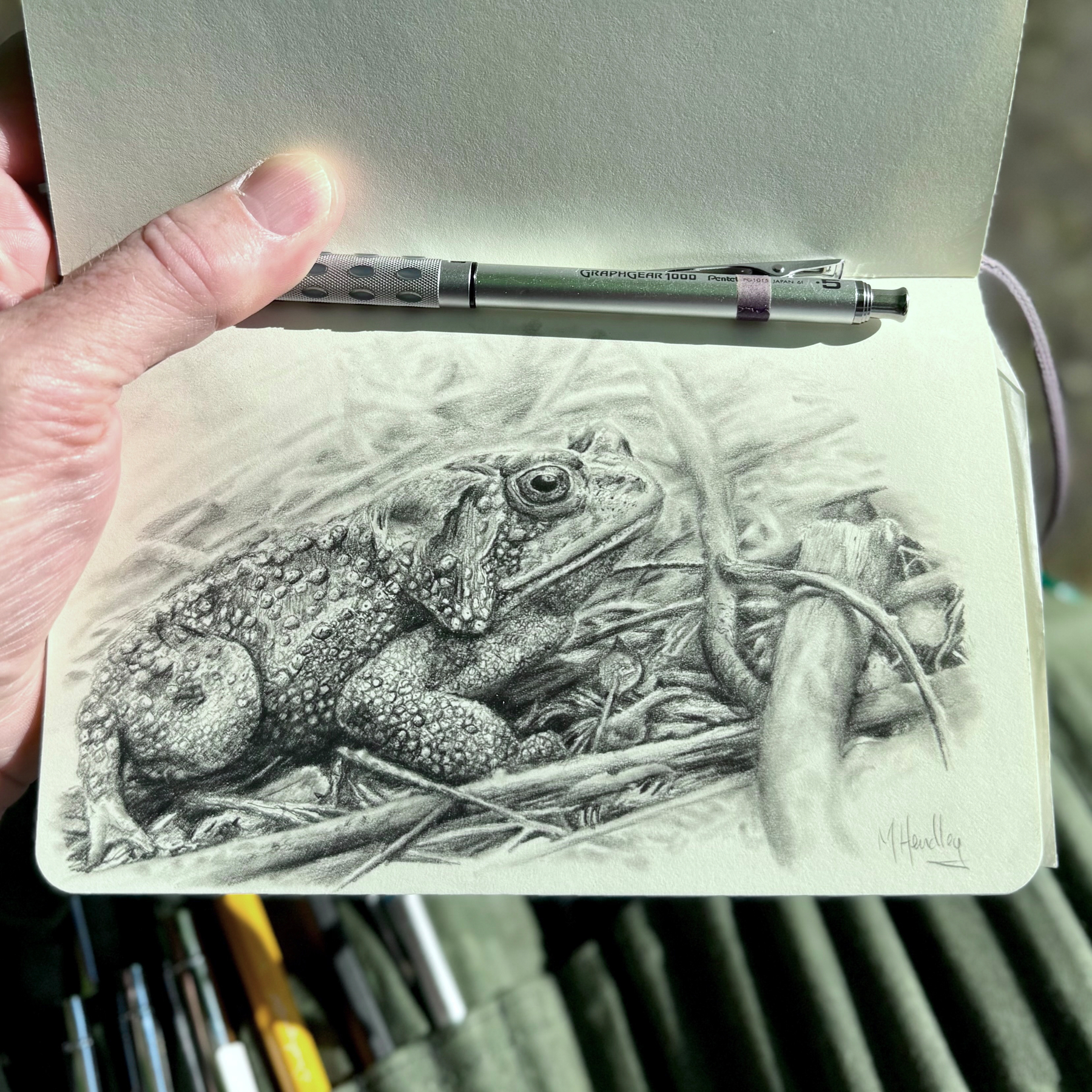 A realistic pencil drawing of a toad is displayed on an open sketchbook, held next to drawing tools and a pen clipped to the book.