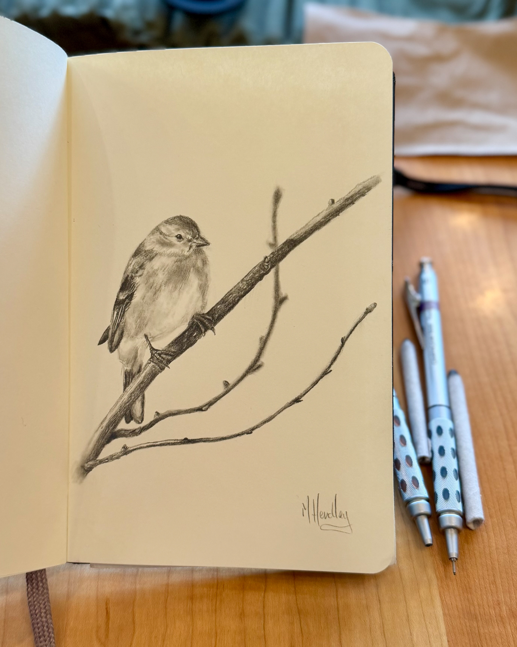 Graphite drawing of a winter American goldfinch perched on a bare branch, sketched in a notebook using fine mechanical pencils.