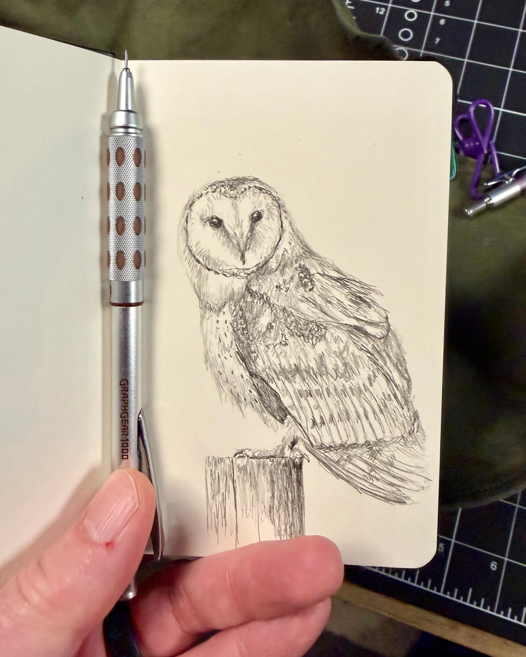 A detailed sketch of a barn owl perched on a stump is drawn in a notebook, held open by a hand with a pen resting on the page.