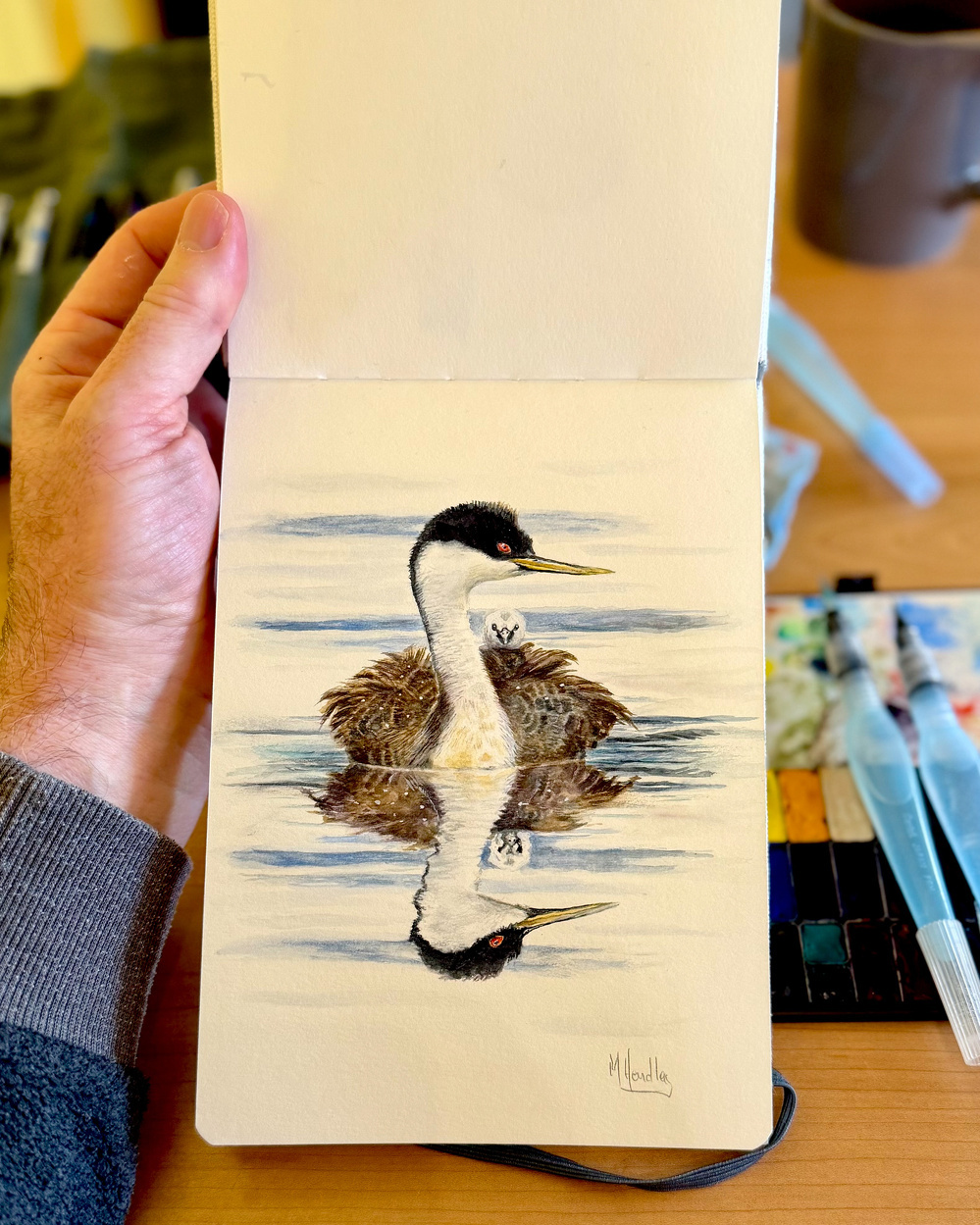 Detailed watercolor painting of a western grebe floating on calm water with its reflection mirrored below. A tiny owl sketch rests between its feathers. Painted in golden tones in an Etchr A5 hot press sketchbook, held in hand beside QoR watercolors and Pentel Aquash brush pens.