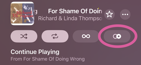 Apple Music buttons to control playback, Shuffle, Repeat, Auto Play and AutoMix. I didn't know the last two symbols.