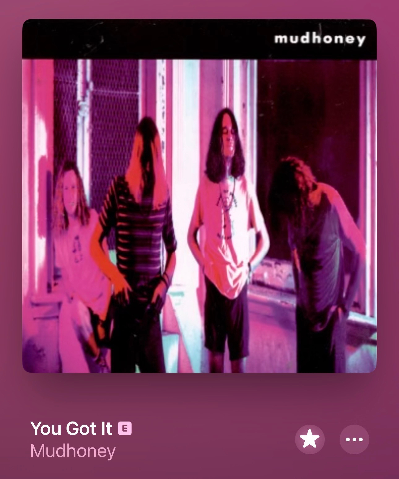 I’m not always in the mood for Mudhoney, but sometimes it’s the only thing that satisfies. The song “You Got It” was the firs