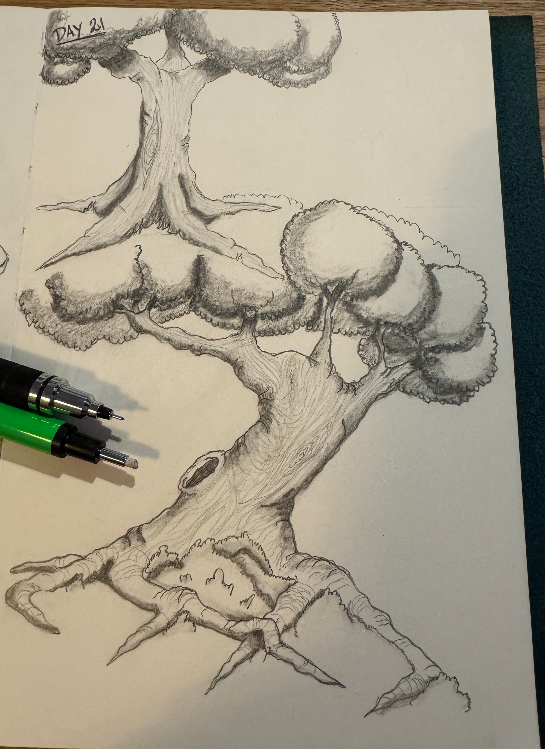 A pencil drawing of two stylized, whimsical trees is accompanied by two pens placed on the paper.