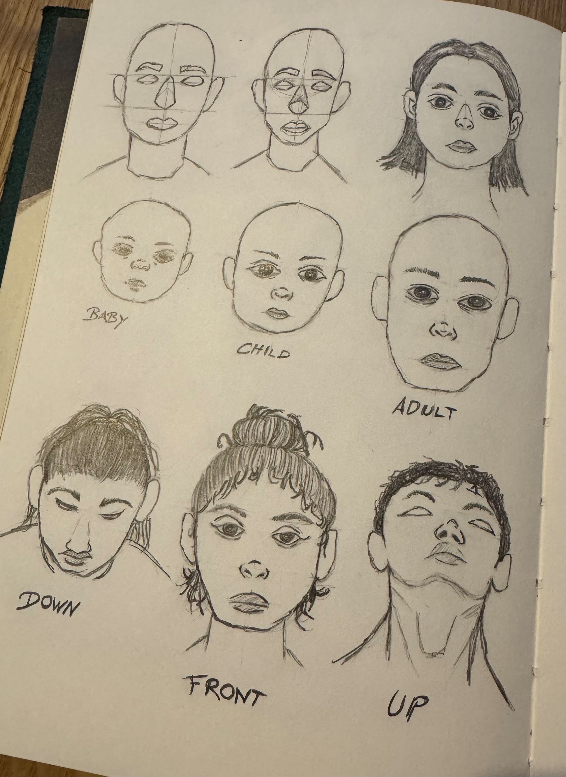 A sketchbook page displays several pencil drawings of faces at different ages and angles, labeled with Baby, Child, Adult, Down, Front, and Up.