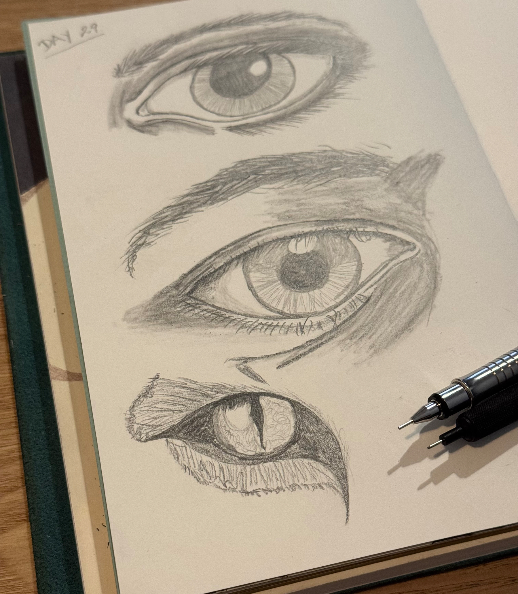 A sketchbook page is open to pencil drawings of three eyes, including two human-like and one animal-like, with a pen resting on it.