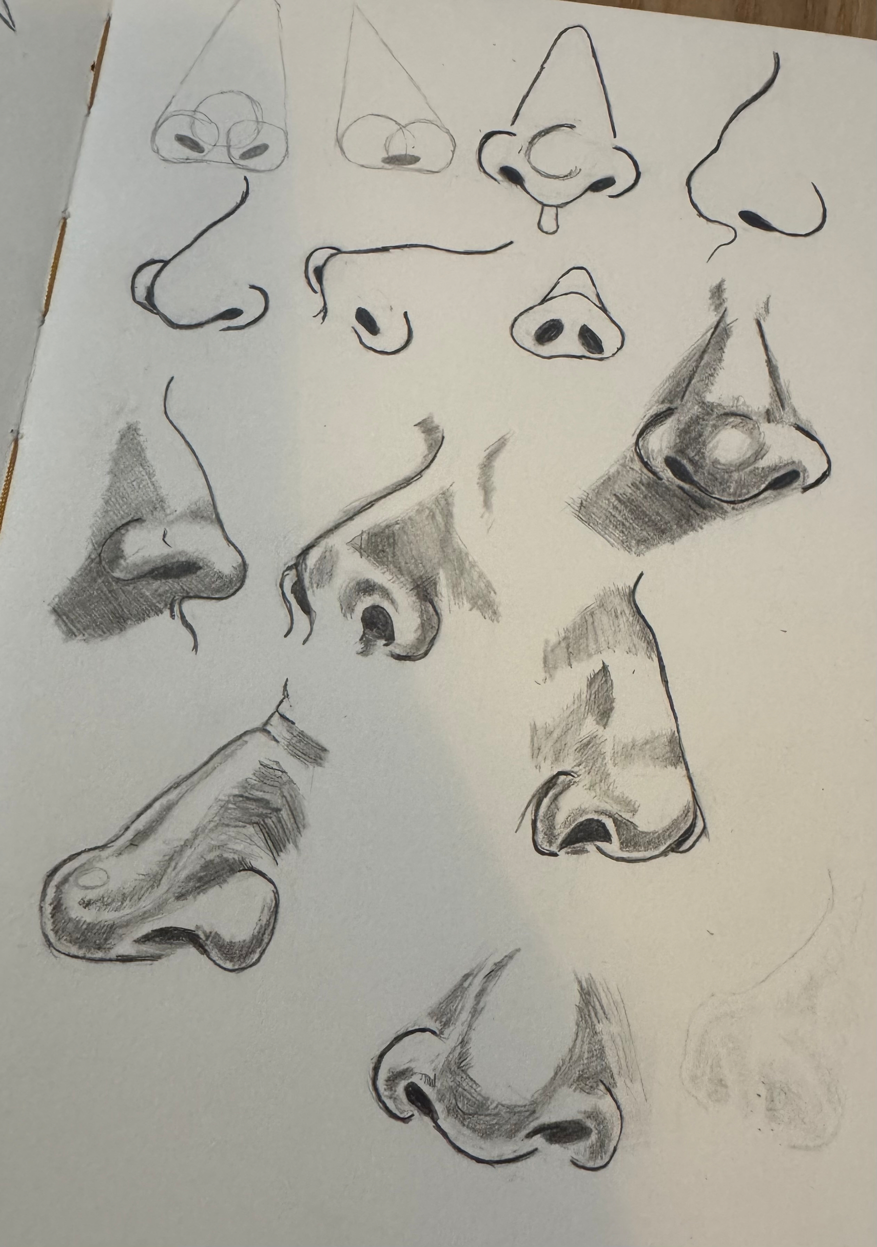 A sketchbook page features various pencil drawings of noses from different angles.