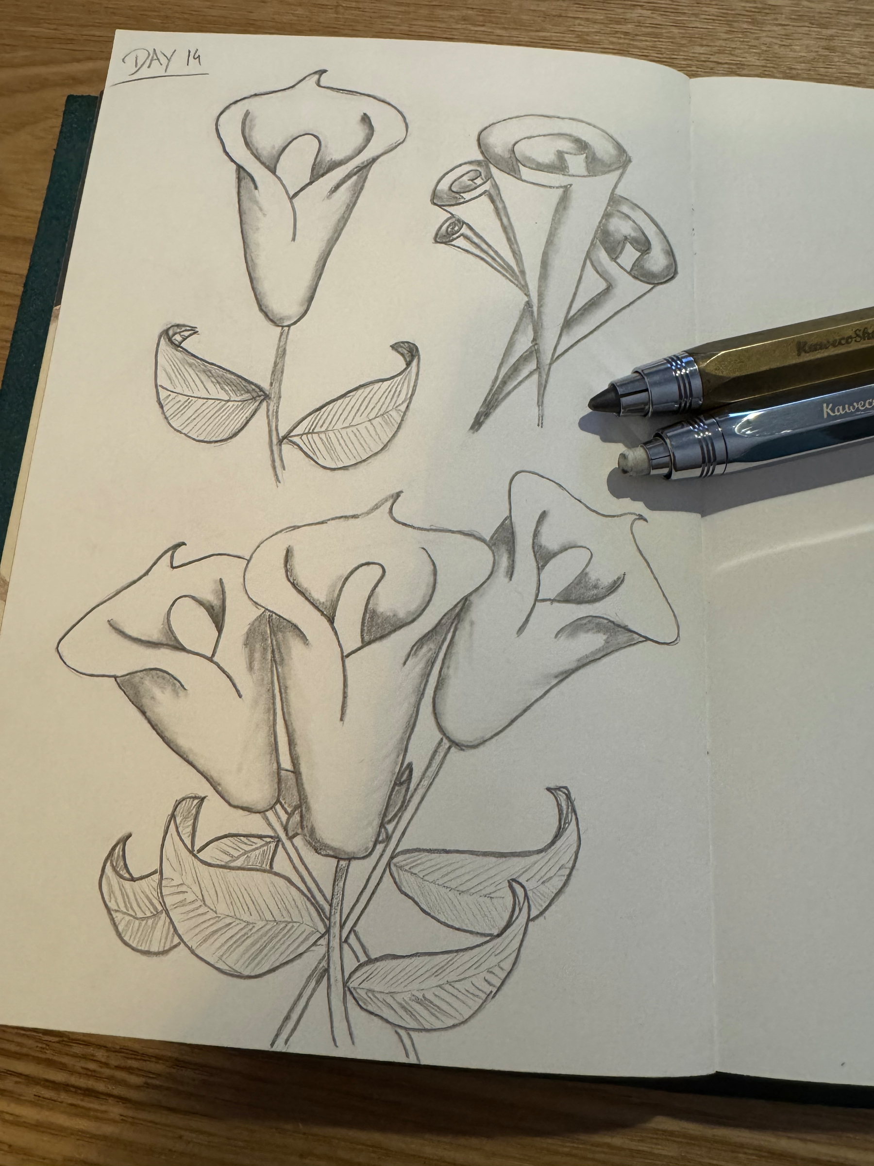 Three pencil sketches of calla lilies at different angles are drawn on a notebook page, accompanied by two pens placed on top.