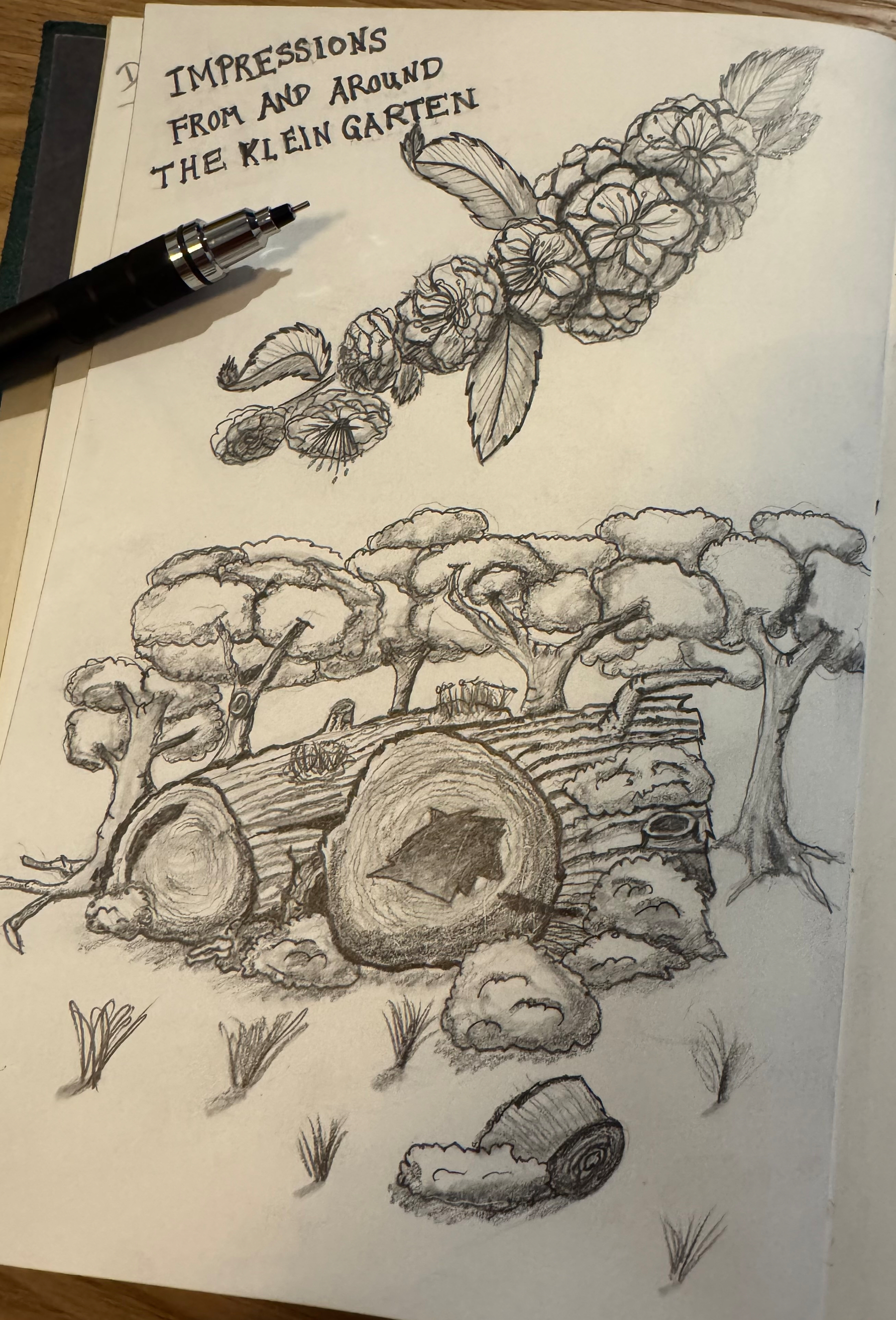 A sketchbook page features pencil drawings of a fallen tree with foliage, scattered logs, and a cluster of flowers, accompanied by a pen and handwritten text.