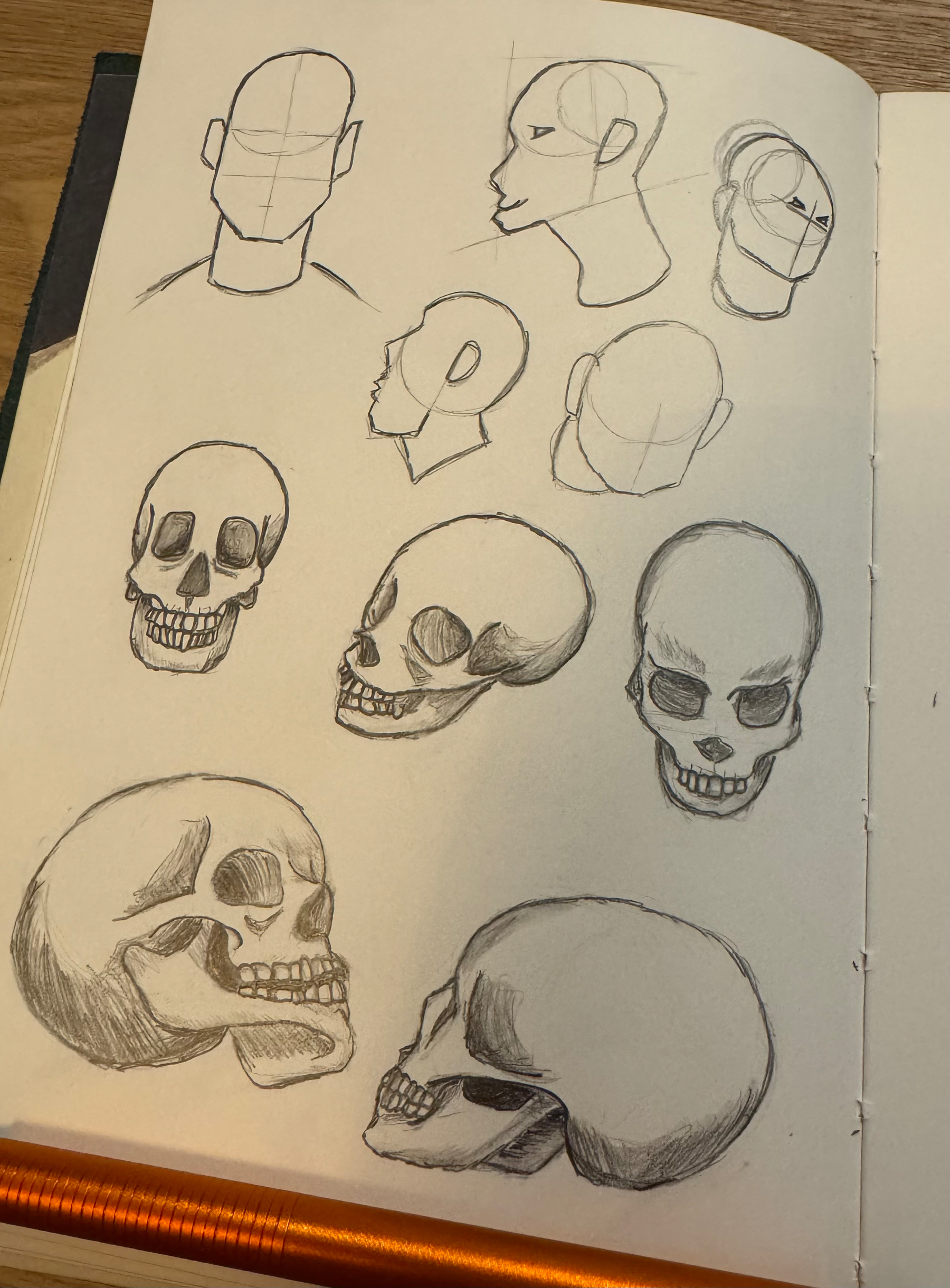 A sketchbook page features various head and skull drawings from different angles.