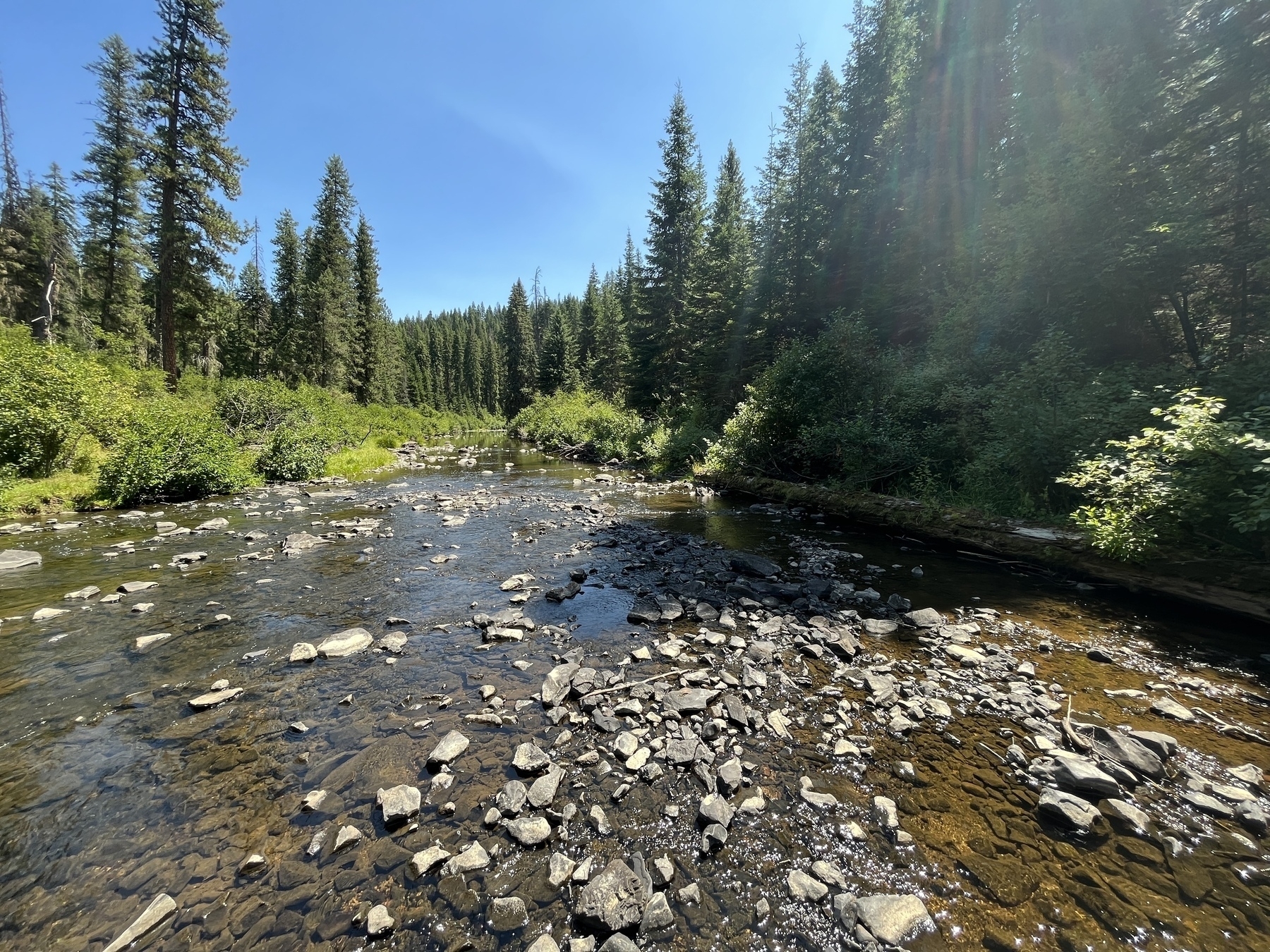 Potlatch River in N. Idaho.