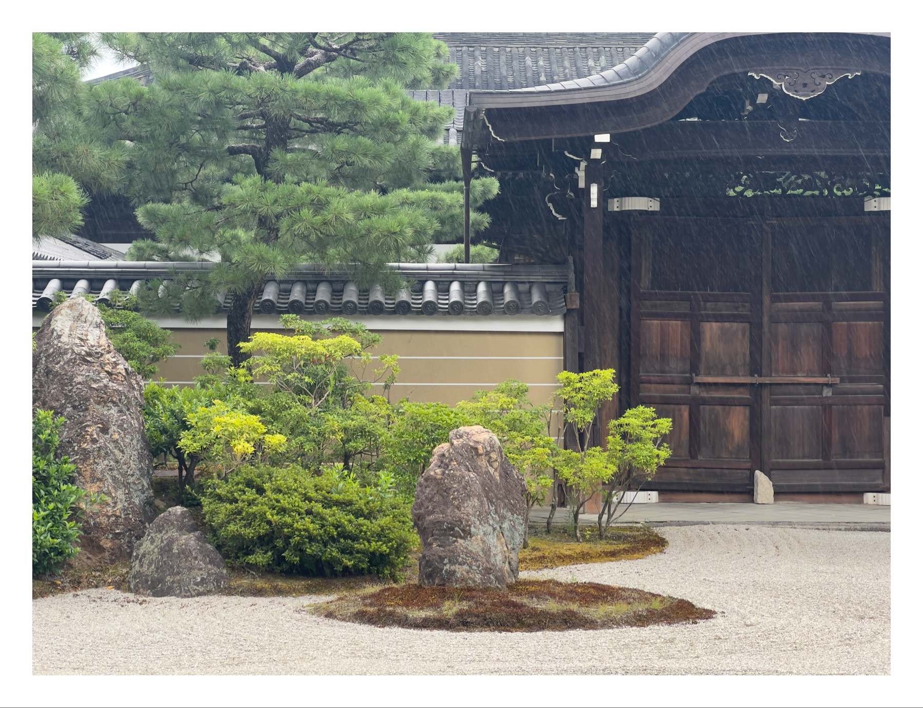 A traditional Japanese garden with raked gravel, rocks, shrubs, and a large pine tree in front of a wooden gate with intricate designs and a tiled roof.