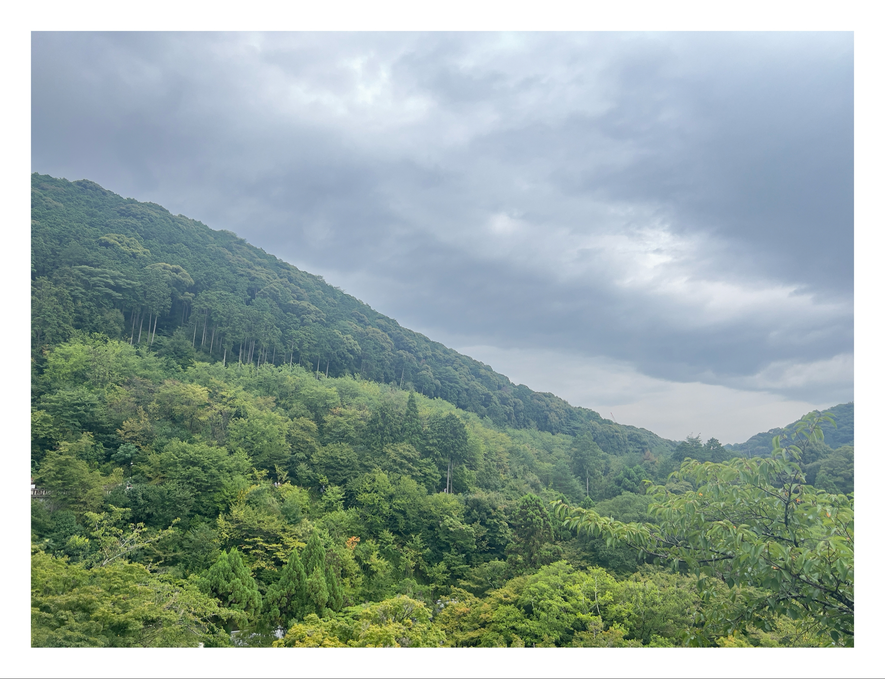 A scenic view of lush green forested hills under a cloudy sky in Kyoto.