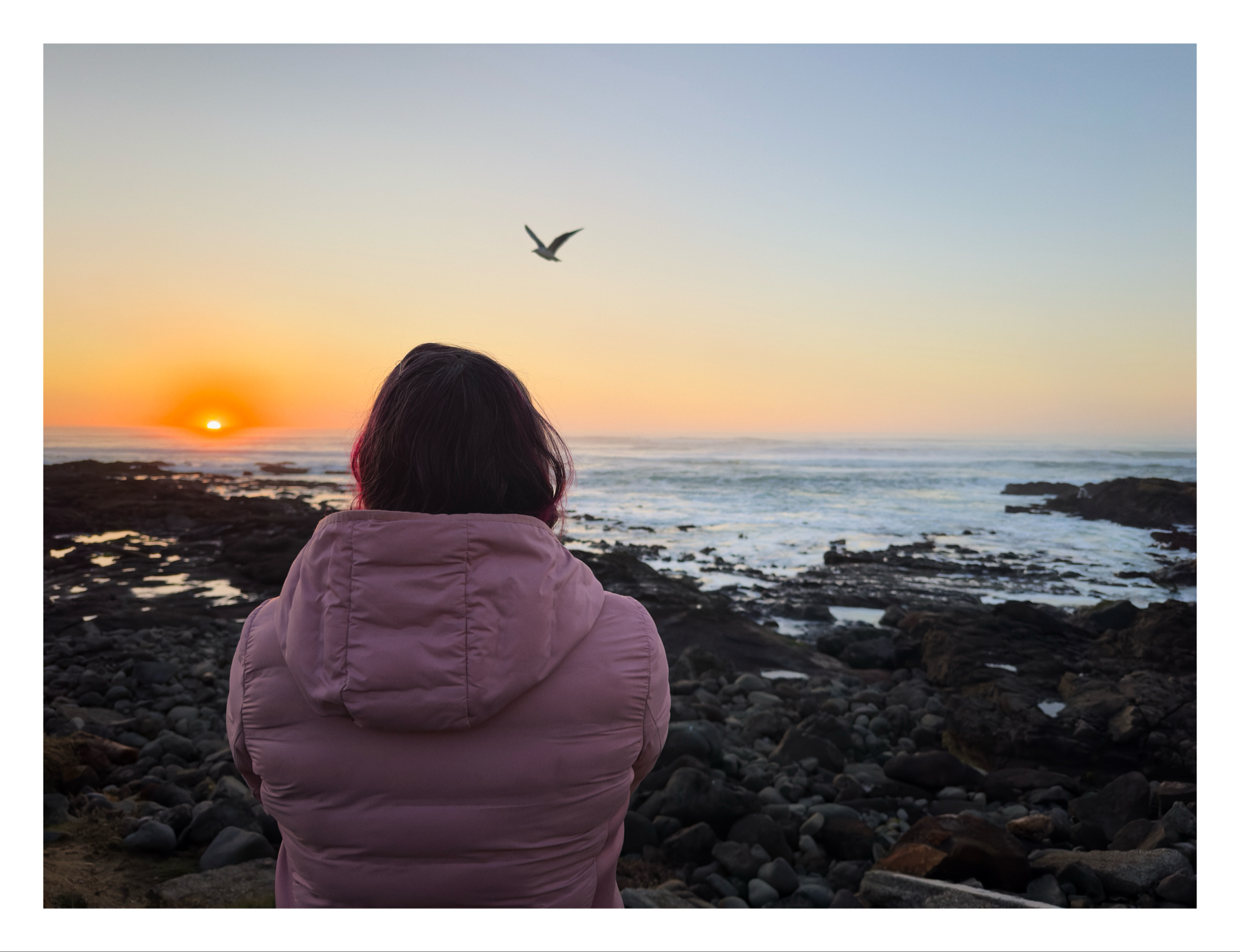 A person in a pink jacket looking at a sunrise over the ocean with rocks in the foreground and a bird flying in the sky.