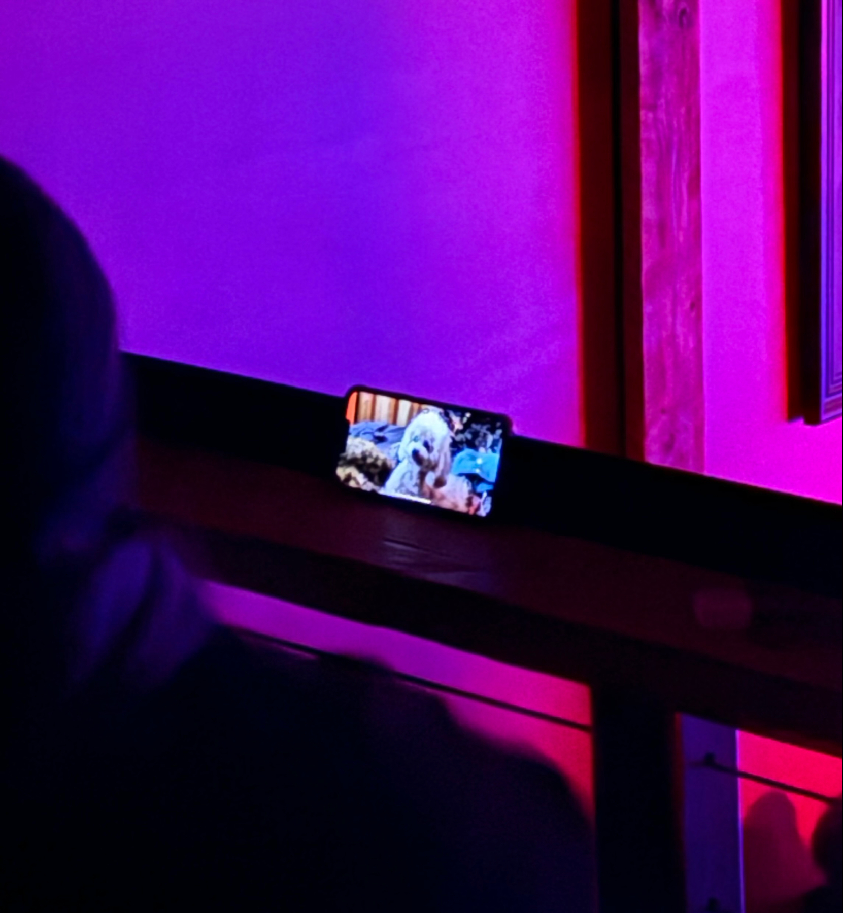 A smartphone resting on a shelf showing a video with a dog in a brightly colored environment, with a purple and pink neon light background. The foreground shows the silhouette of a person’s head observing the smartphone screen.