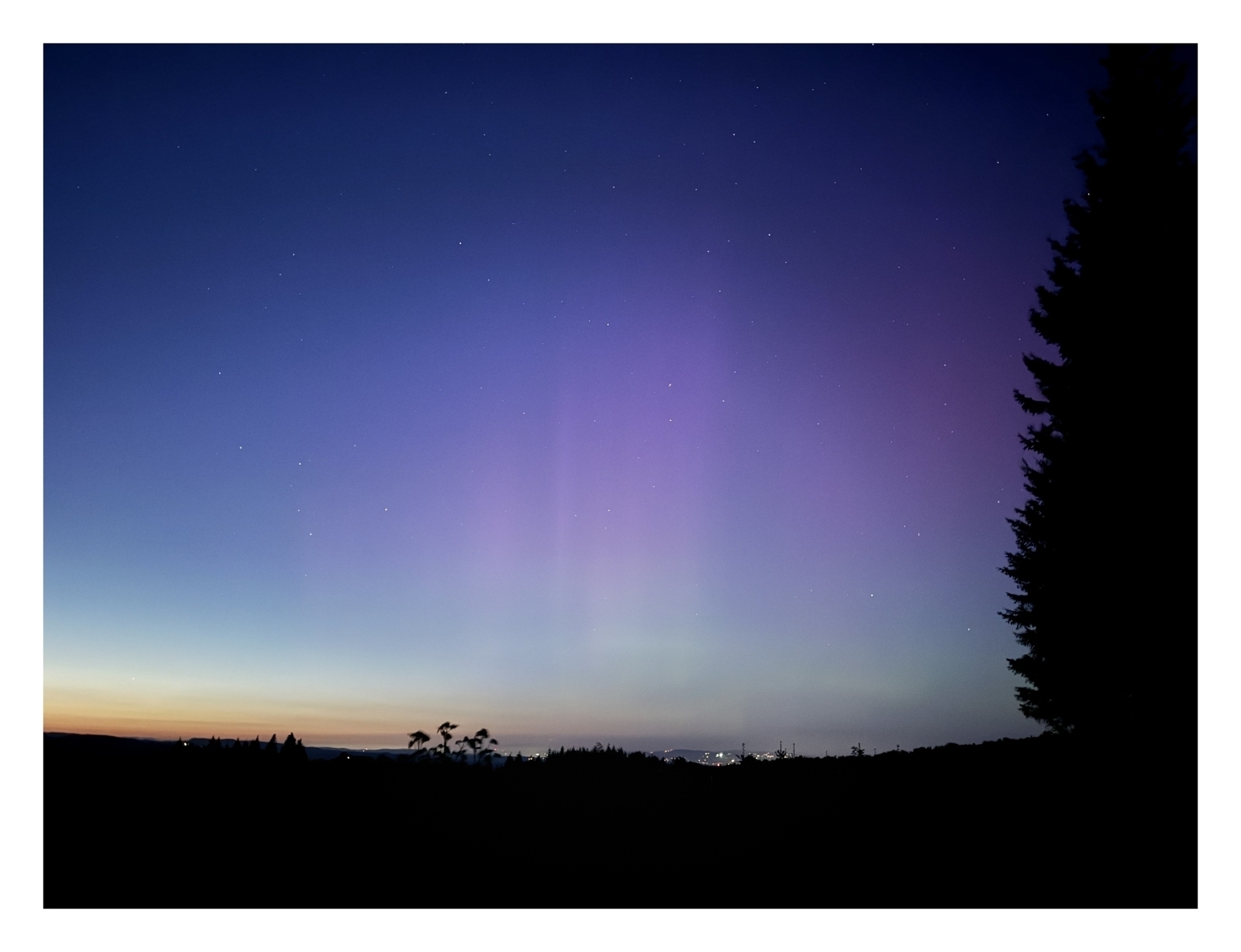 Aurora borealis streaks across a twilight sky above a silhouetted landscape with trees.